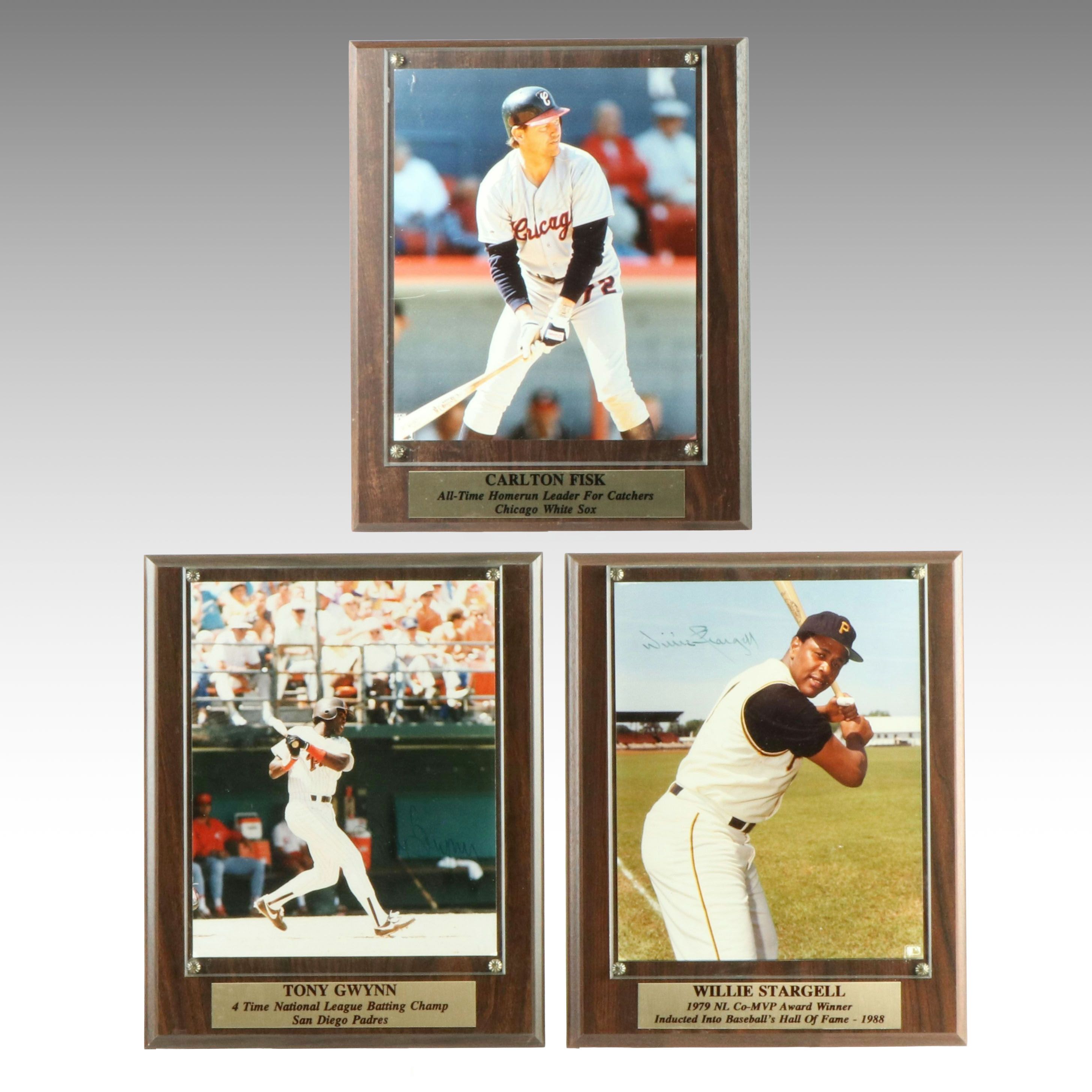 Carlton Fisk, Tony Gwynn, and Willie Stargell Signed Baseball Displays