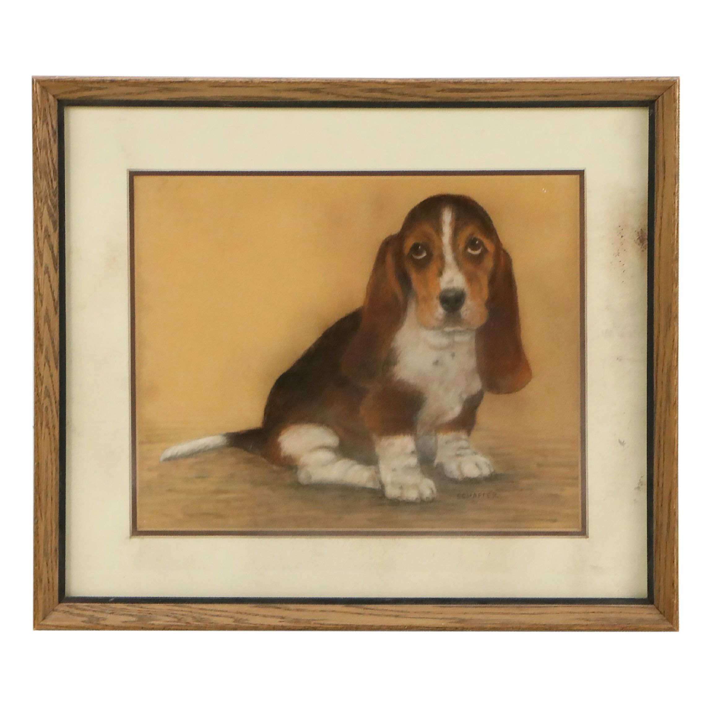 Signed Oil Pastel Drawing of a Basset Hound, Mid to Late 20th Century