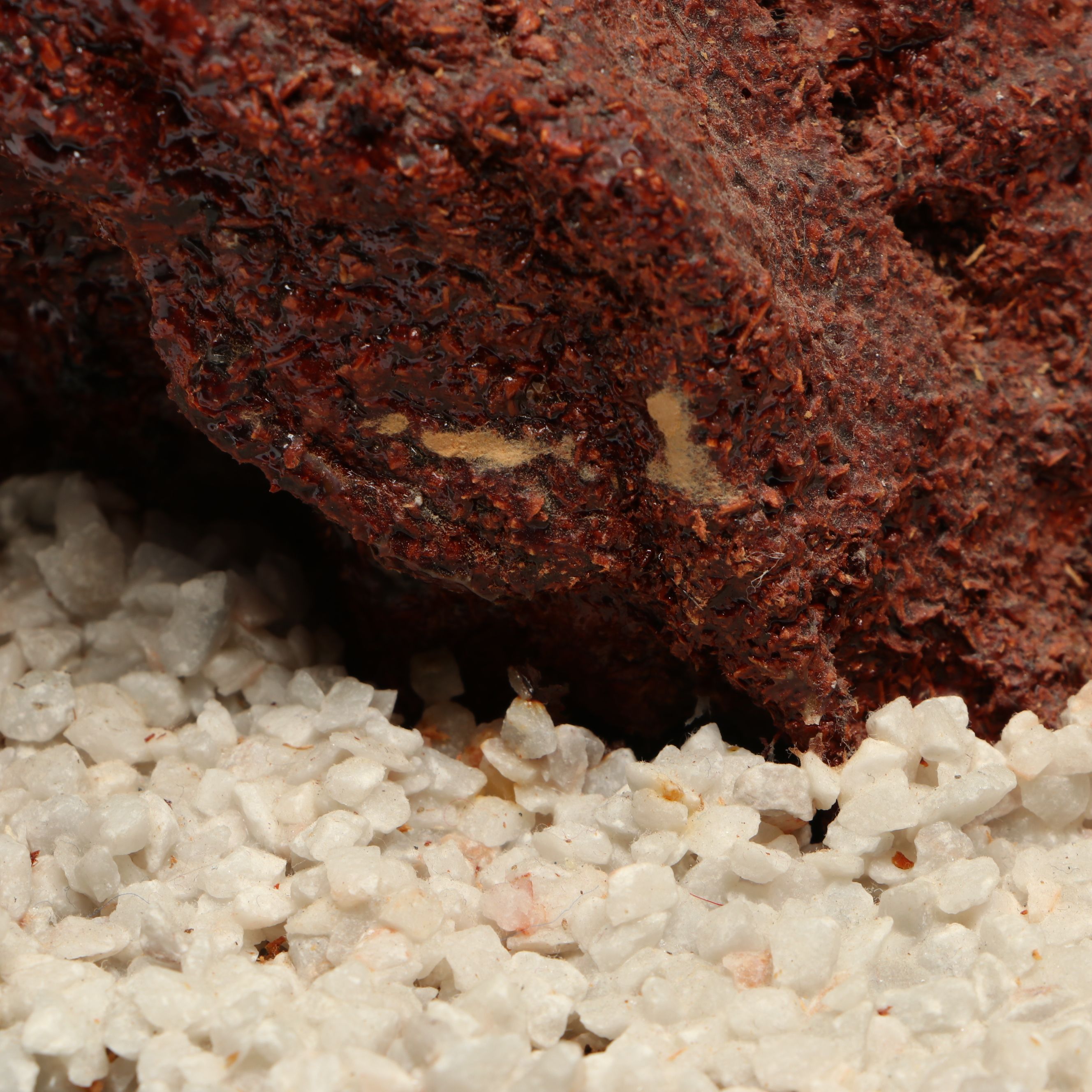 Carved Serpentine Peach Tree Bonsai Tree Figure