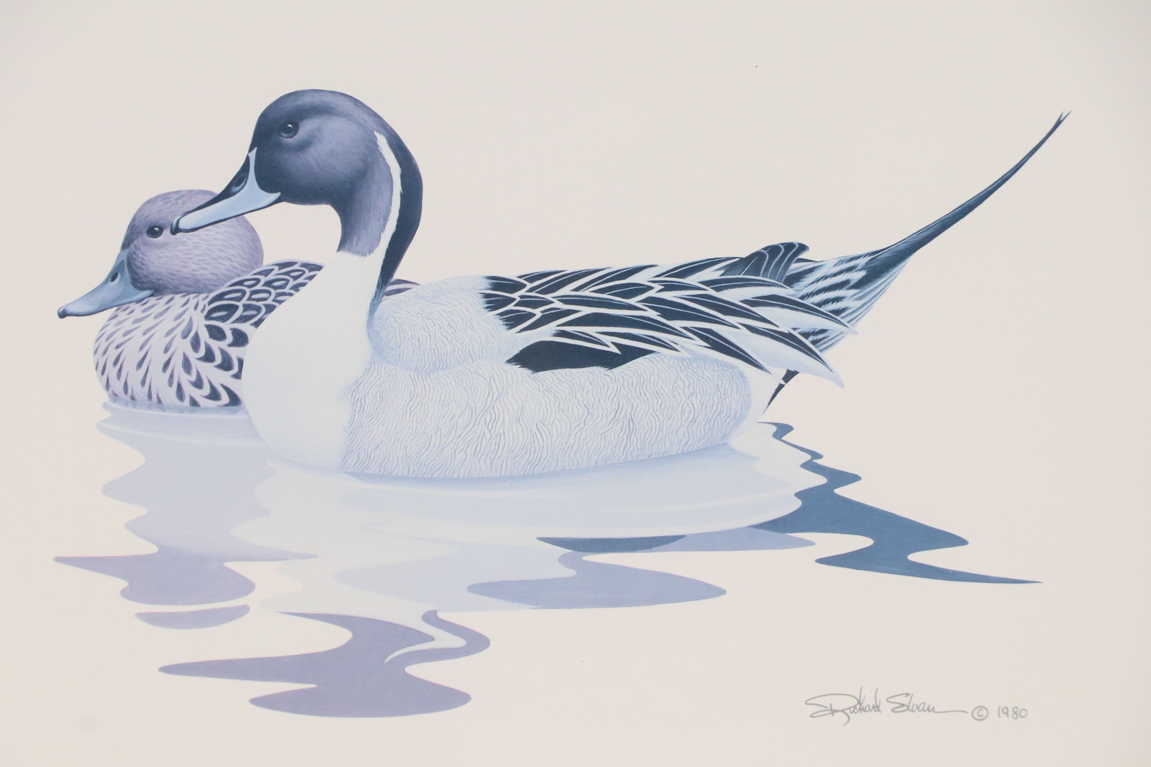After Richard Sloan Offset Lithograph "Pintail Ducks"