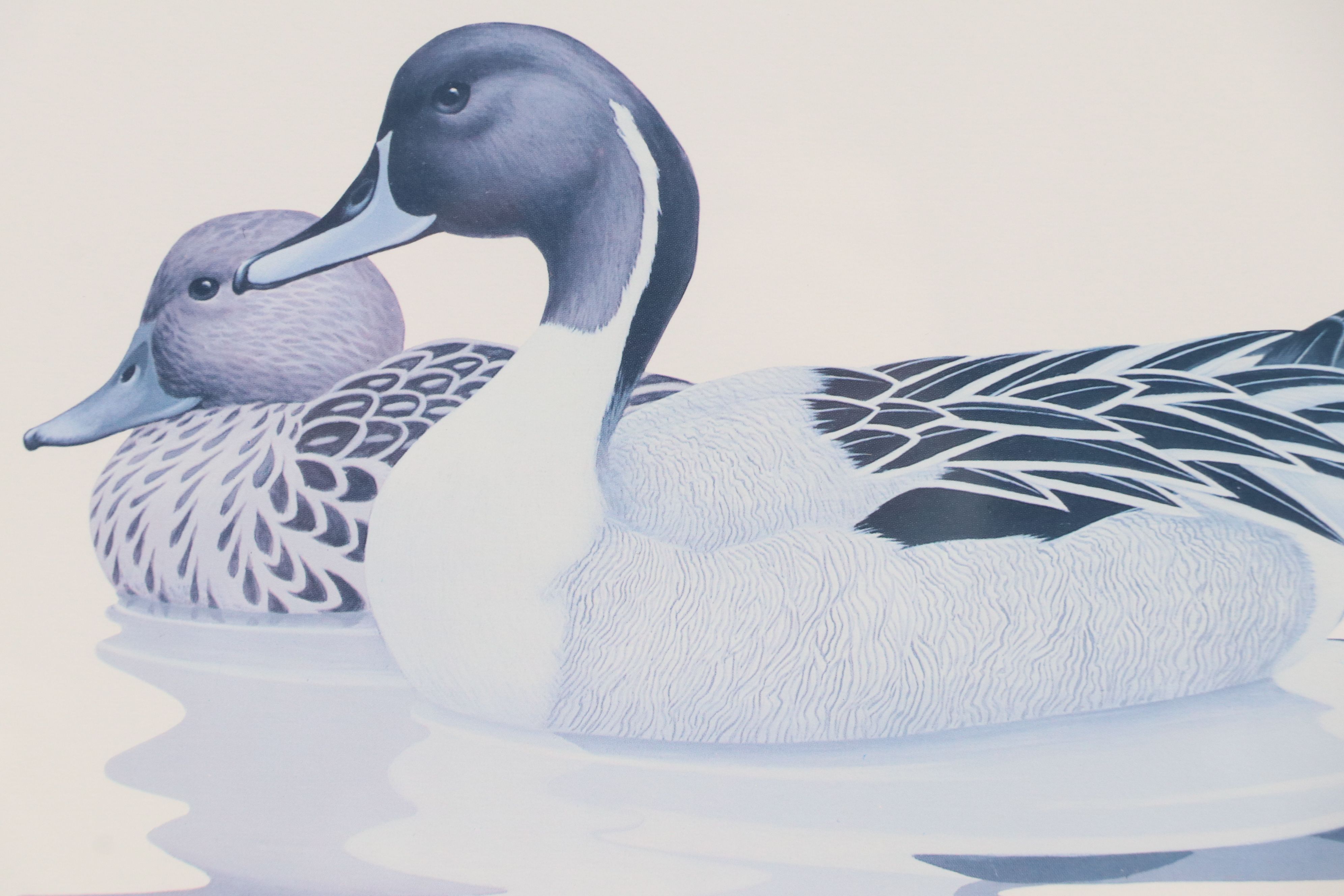 After Richard Sloan Offset Lithograph "Pintail Ducks"