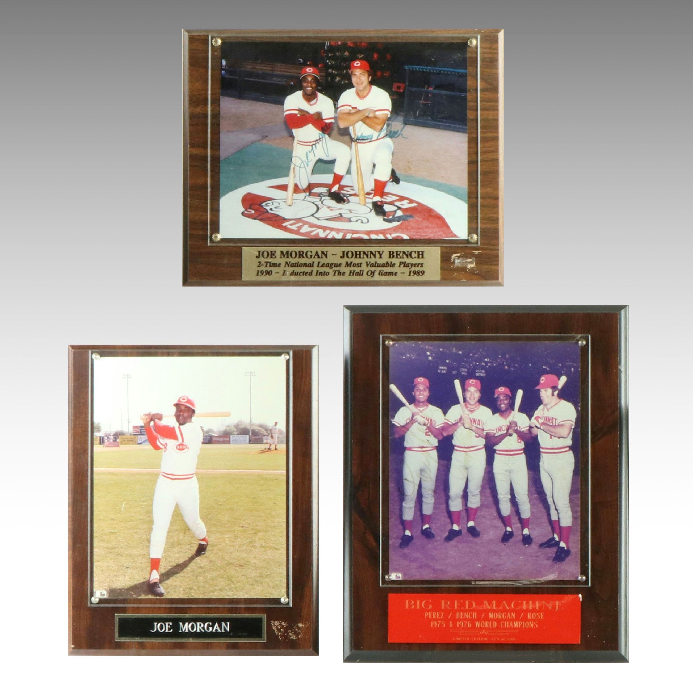 Joe Morgan, Johnny Bench, and More Signed Cincinnati Reds Displays
