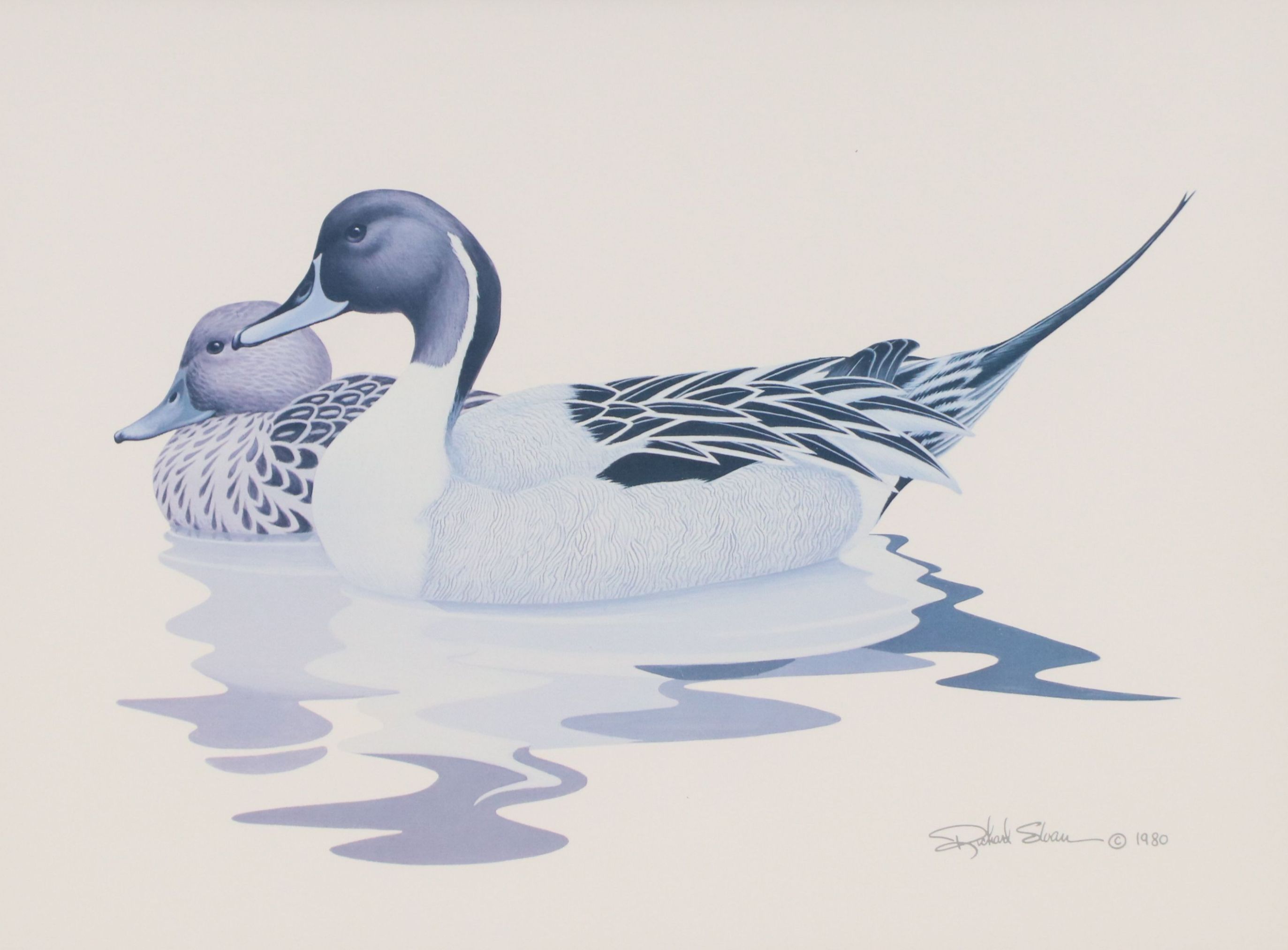 After Richard Sloan Offset Lithograph "Pintail Ducks"