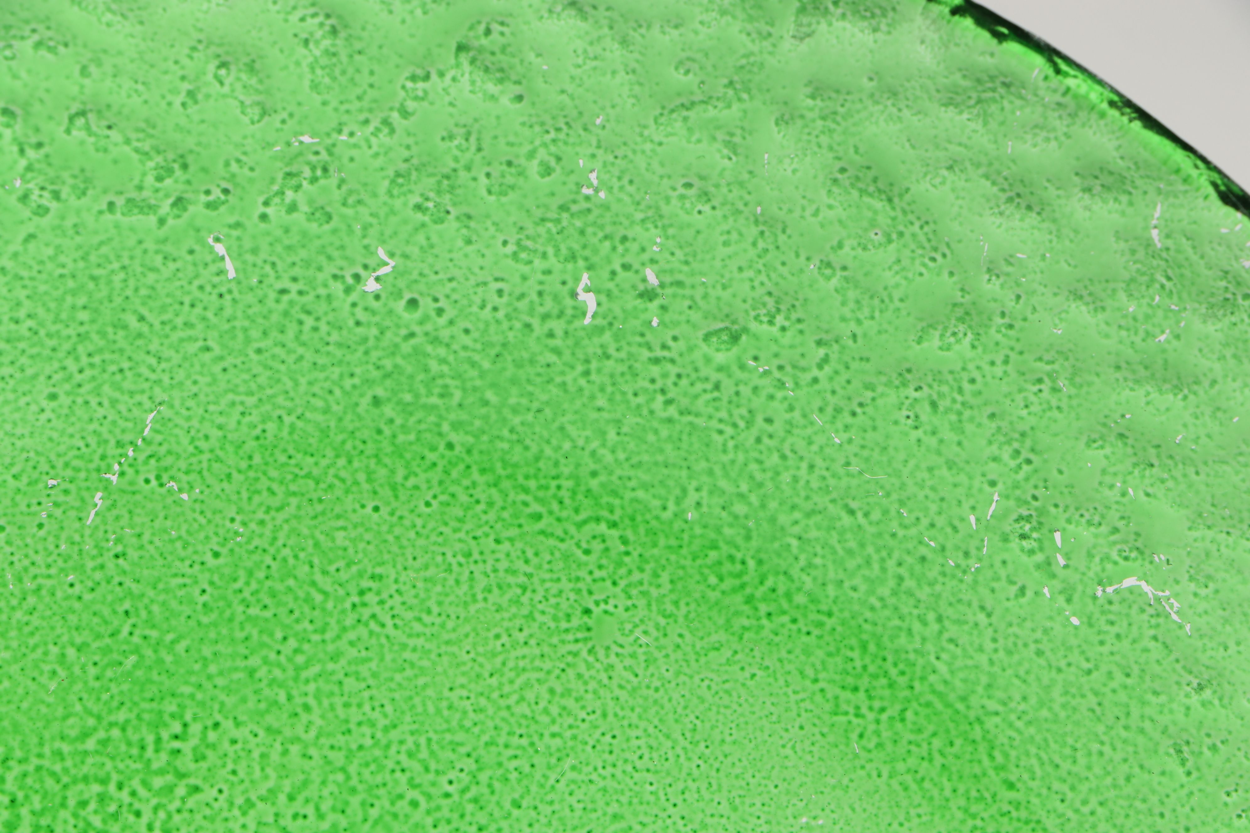 Belleek "Shamrock" Creamers and Sugar Bowl with Christmas and Irish Themed Décor