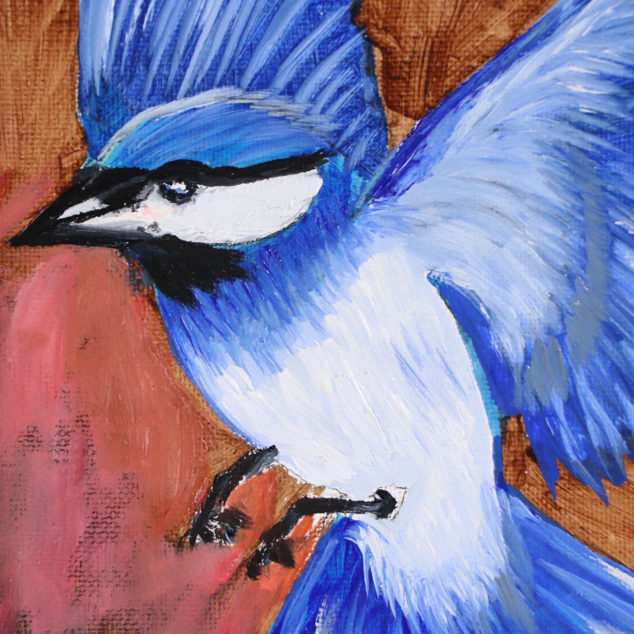 Neville Shenton Oil Painting of Blue Jay