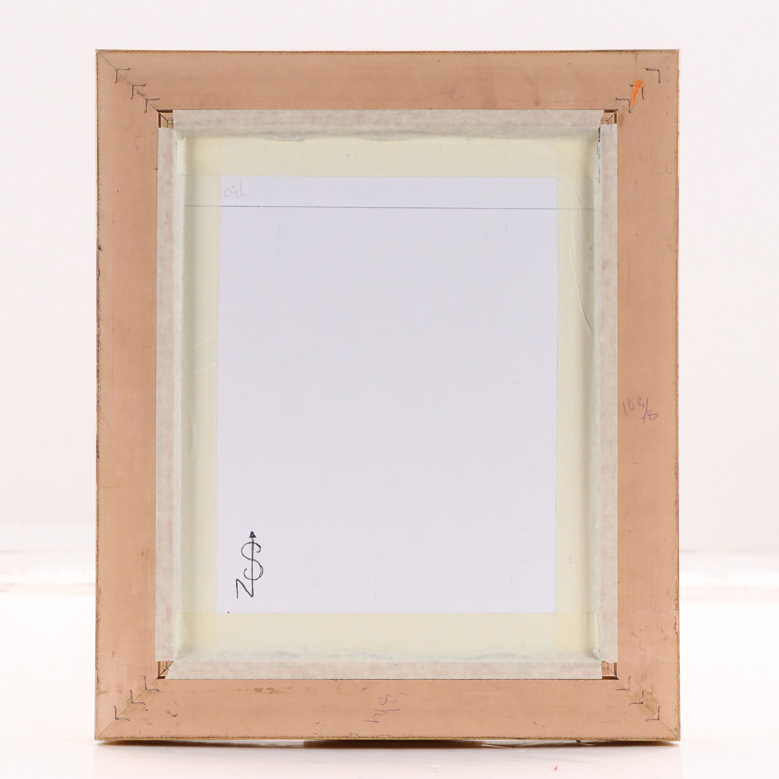 Neville Shenton Oil Painting of Blue Jay