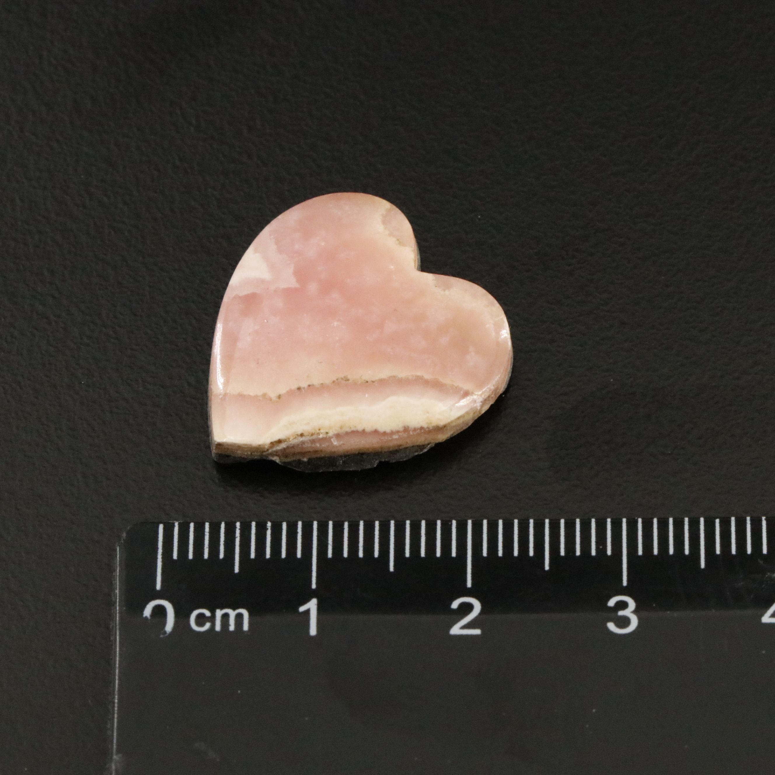 Loose Gemstone Lot Including Tiger's Eye, Rhodochrosite and Coral