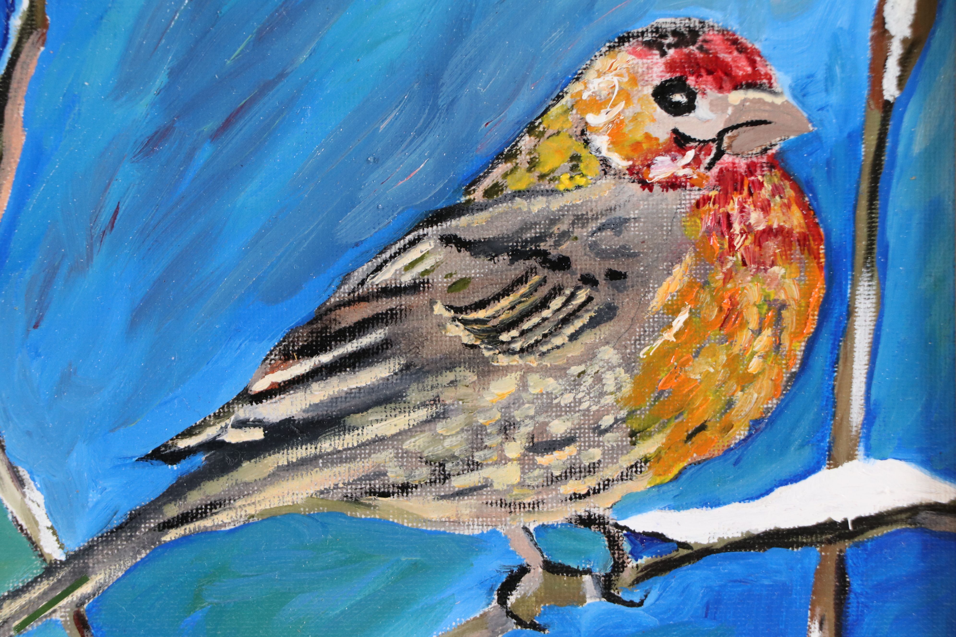 Neville Shenton Oil Painting of House Finch