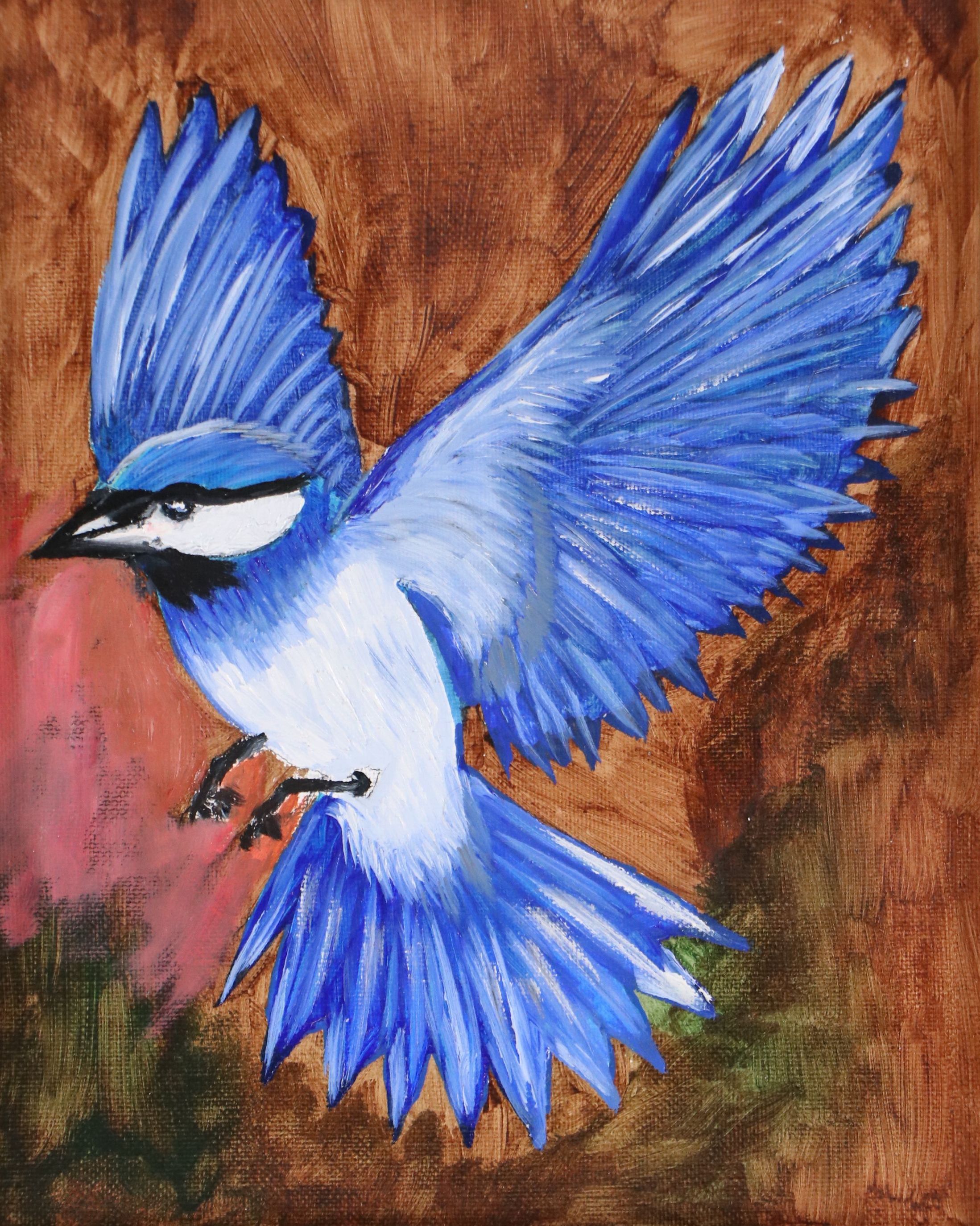 Neville Shenton Oil Painting of Blue Jay