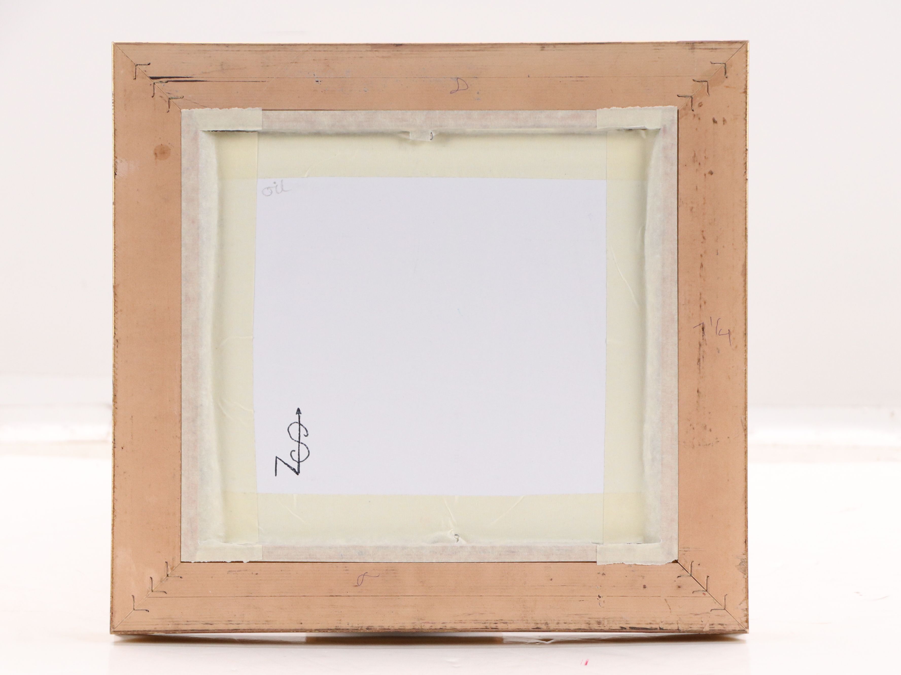 Neville Shenton Oil Painting of House Finch