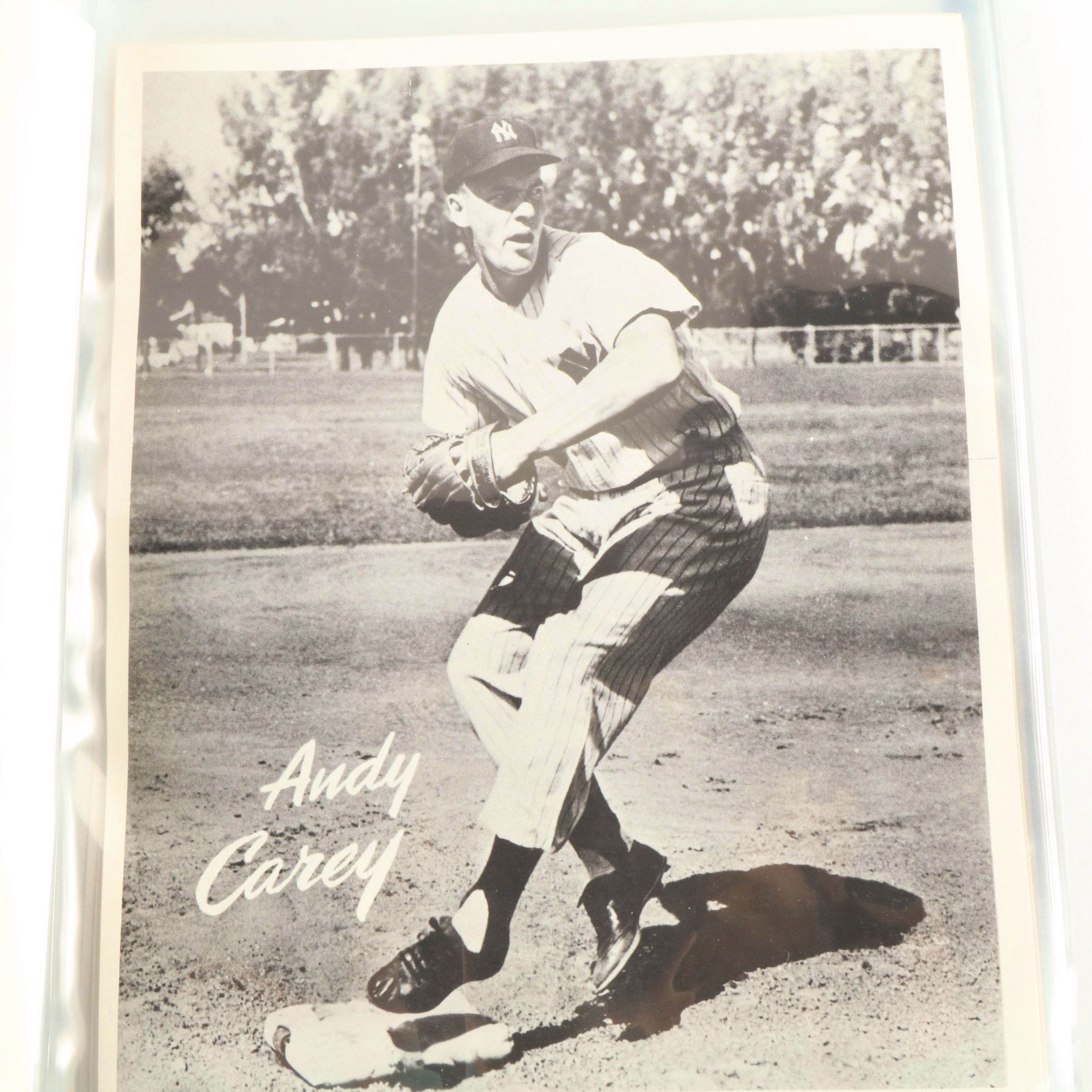 1950s New York Yankees Team Photos Featuring Mickey Mantle and Yogi Berra