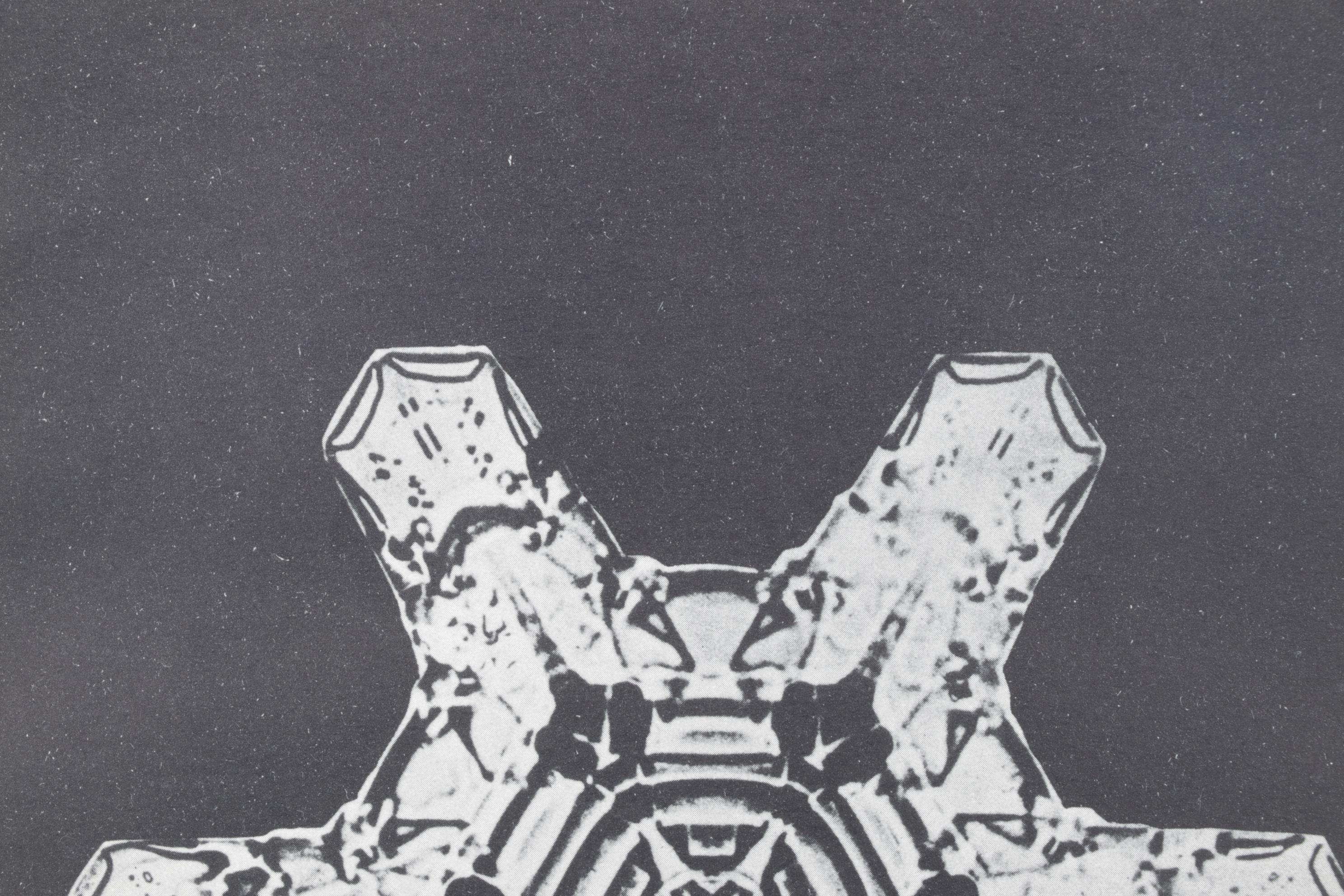 Intaglio after Oskar Prochnow from "Formenkunst Der Natur," 1928