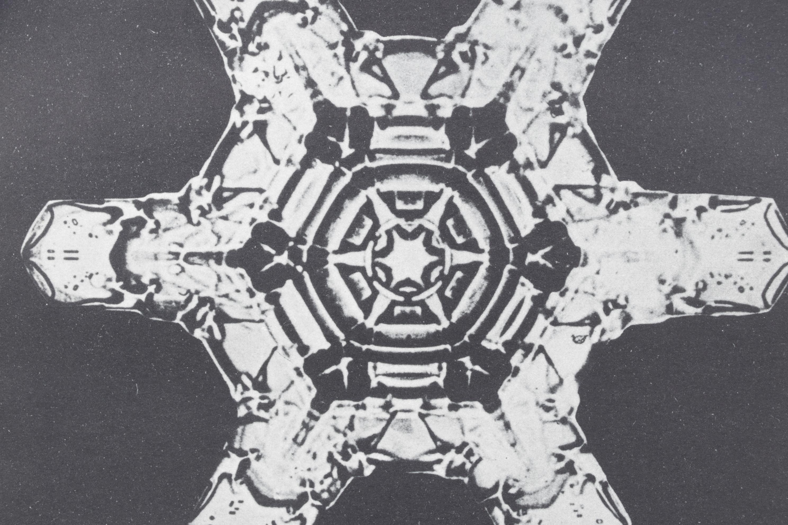 Intaglio after Oskar Prochnow from "Formenkunst Der Natur," 1928