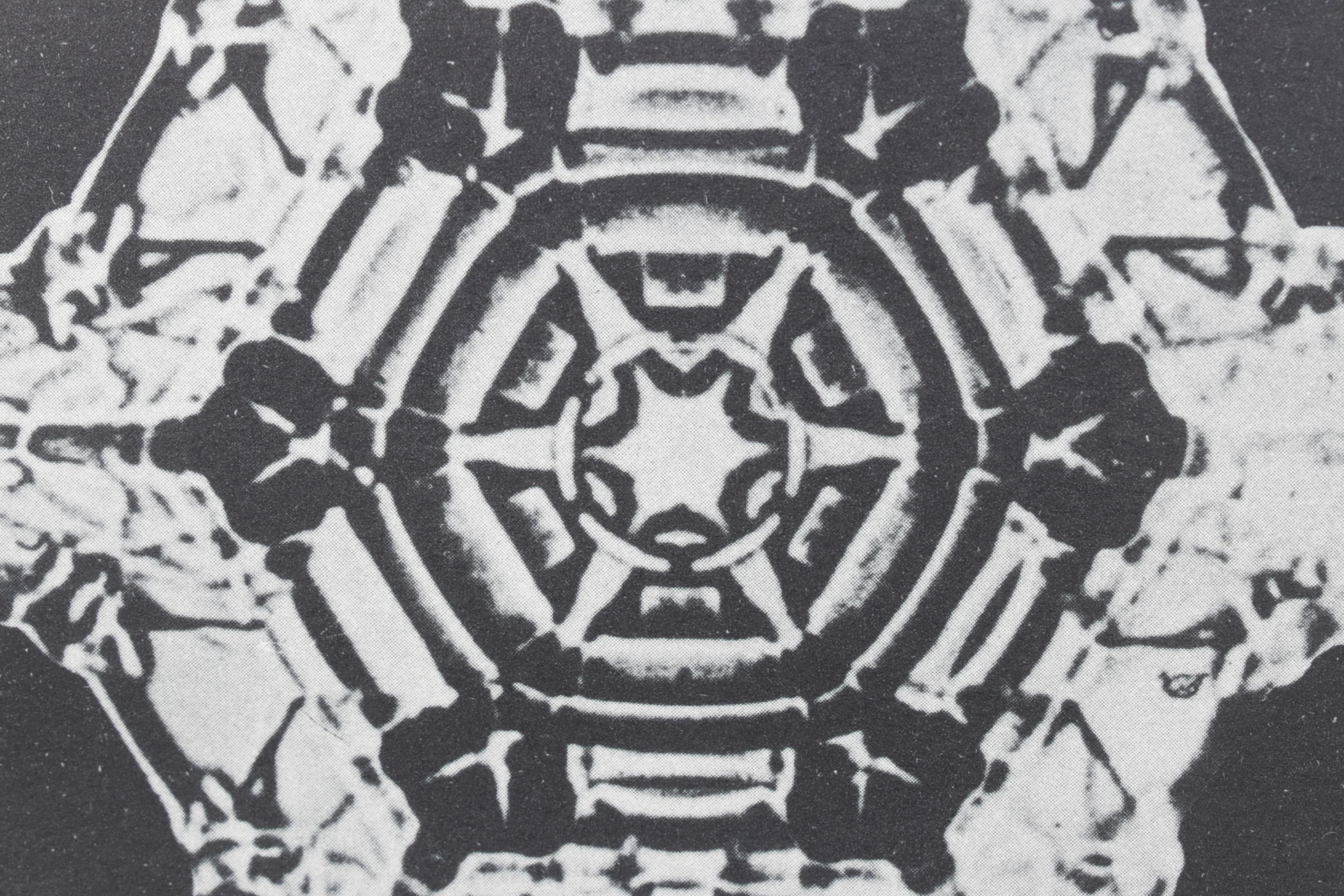 Intaglio after Oskar Prochnow from "Formenkunst Der Natur," 1928