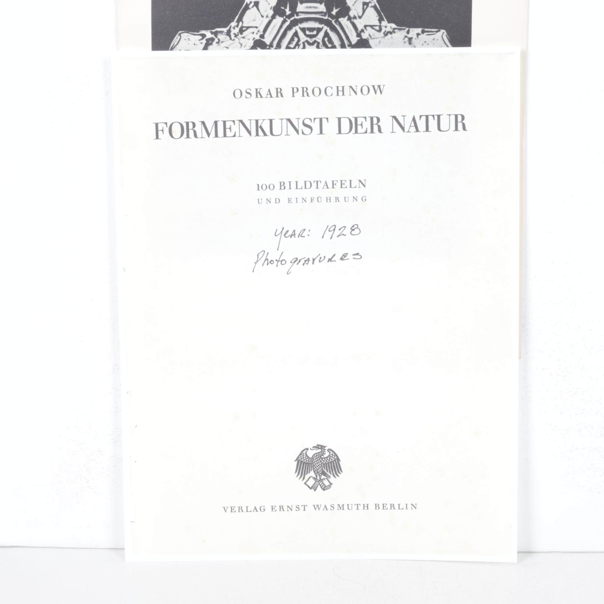 Intaglio after Oskar Prochnow from "Formenkunst Der Natur," 1928