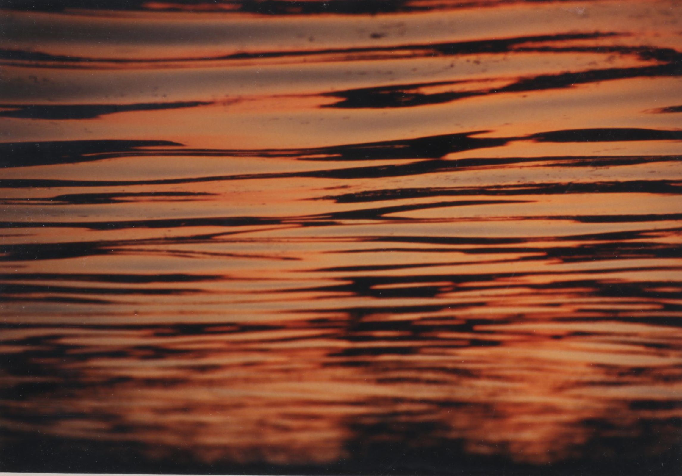 John A. Harmon "Basic Clement" Photograph, 1997