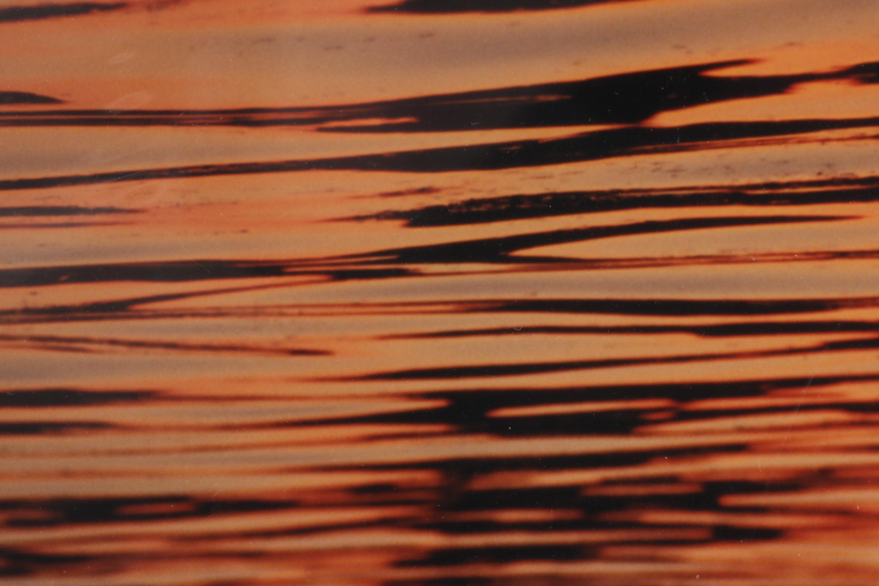 John A. Harmon "Basic Clement" Photograph, 1997