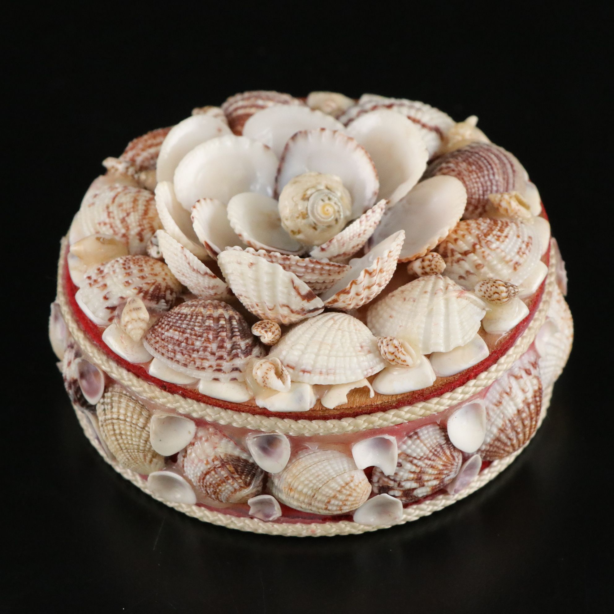 Seashell Encrusted Trinket Box with More Seashell Specimen