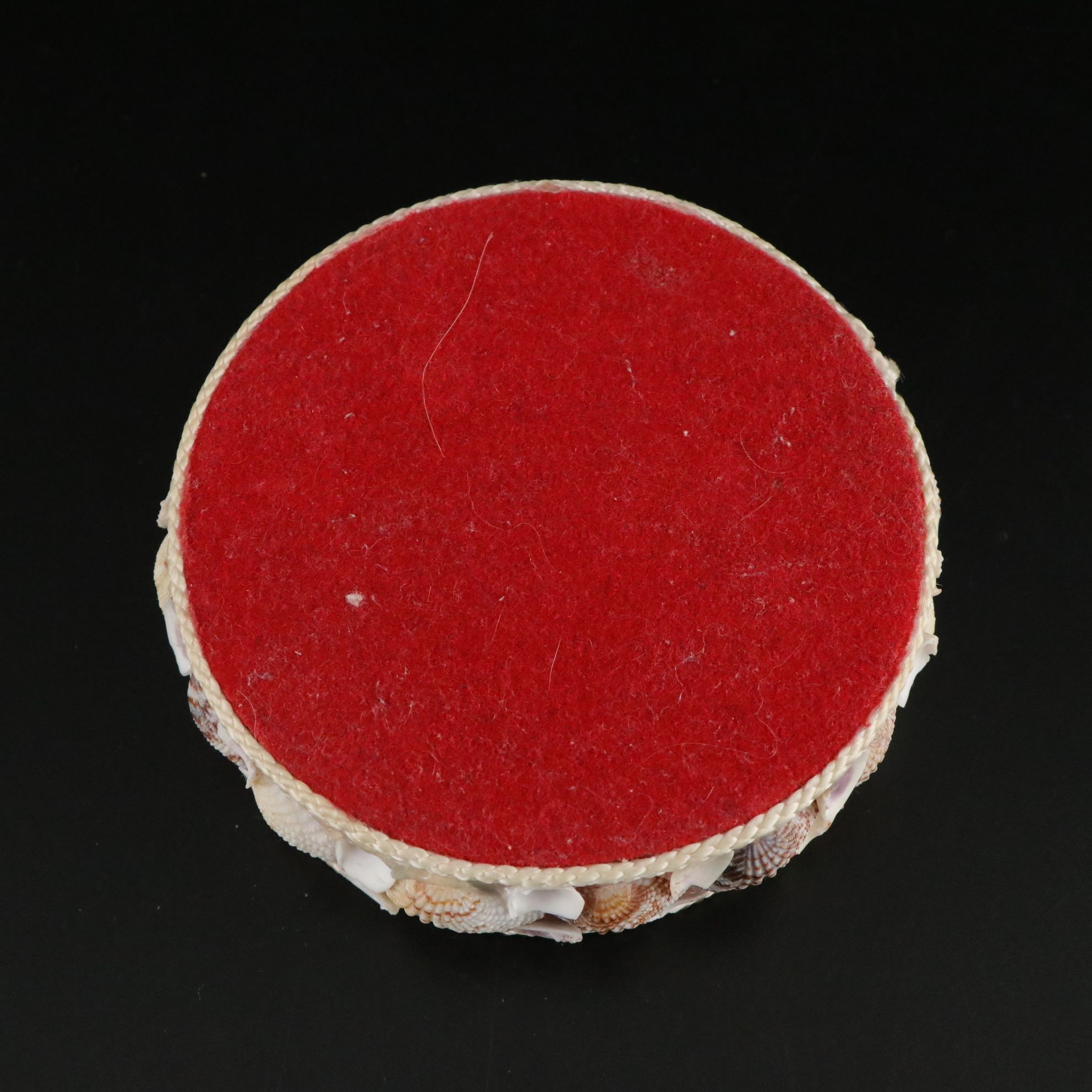 Seashell Encrusted Trinket Box with More Seashell Specimen