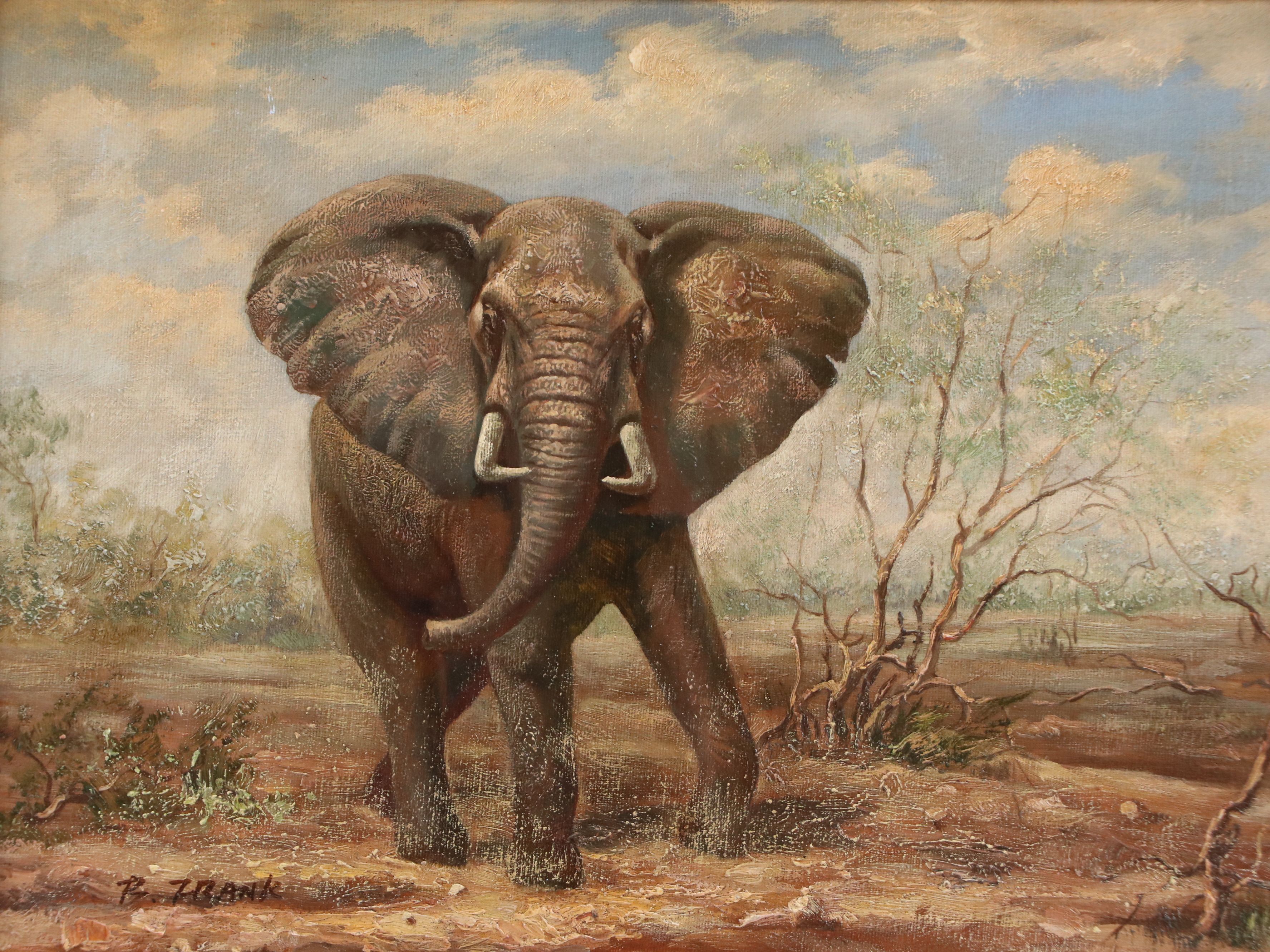 Wildlife Oil Portraits of Elephant and Zebras, Late 20th Century