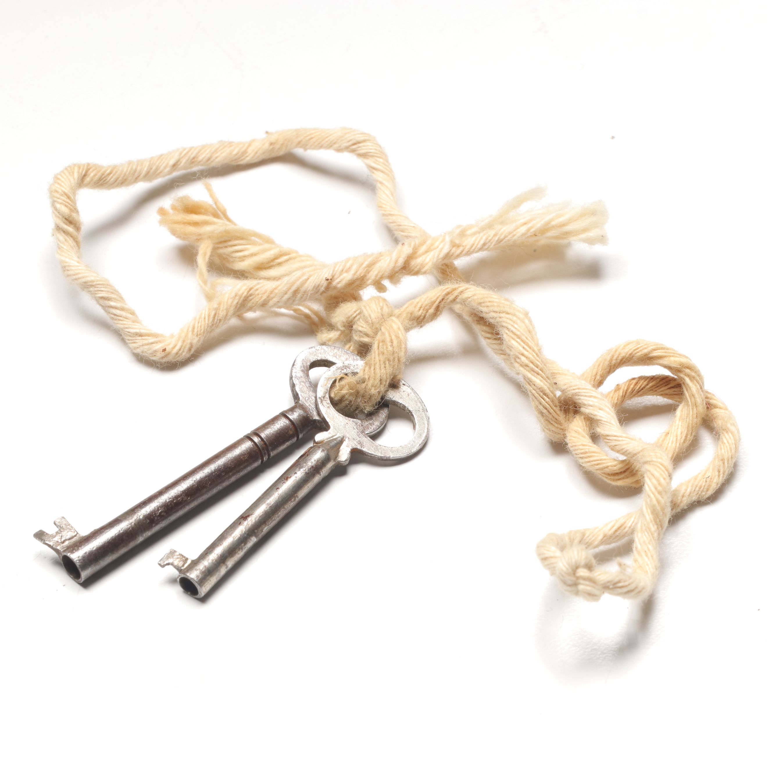 William IV Brass Mounted Calamander Box, First Half 19th Century