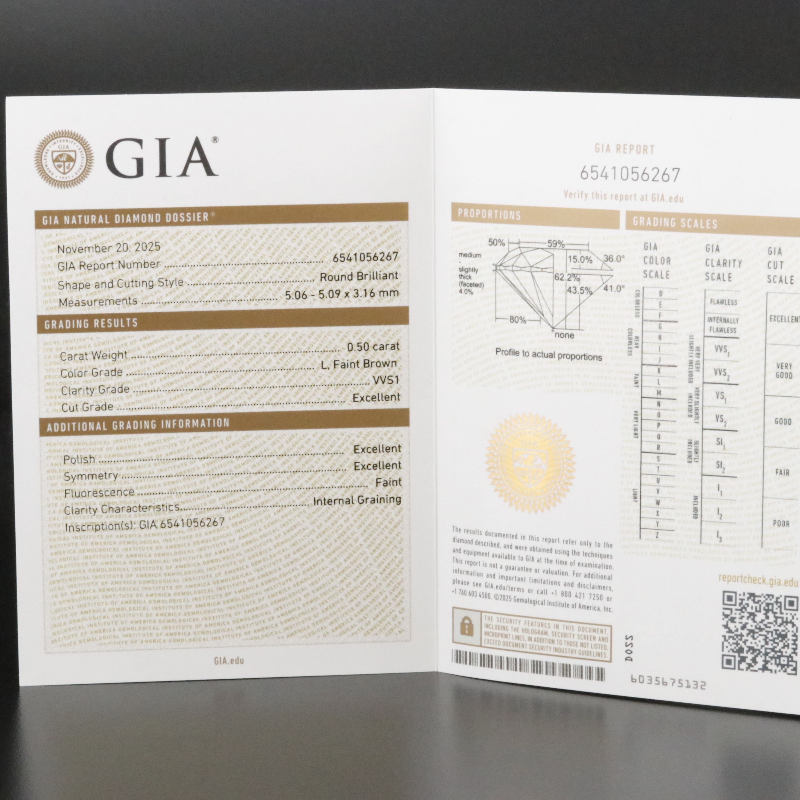 Platinum 1.02 CTW Diamond Stud Earrings with GIA Report