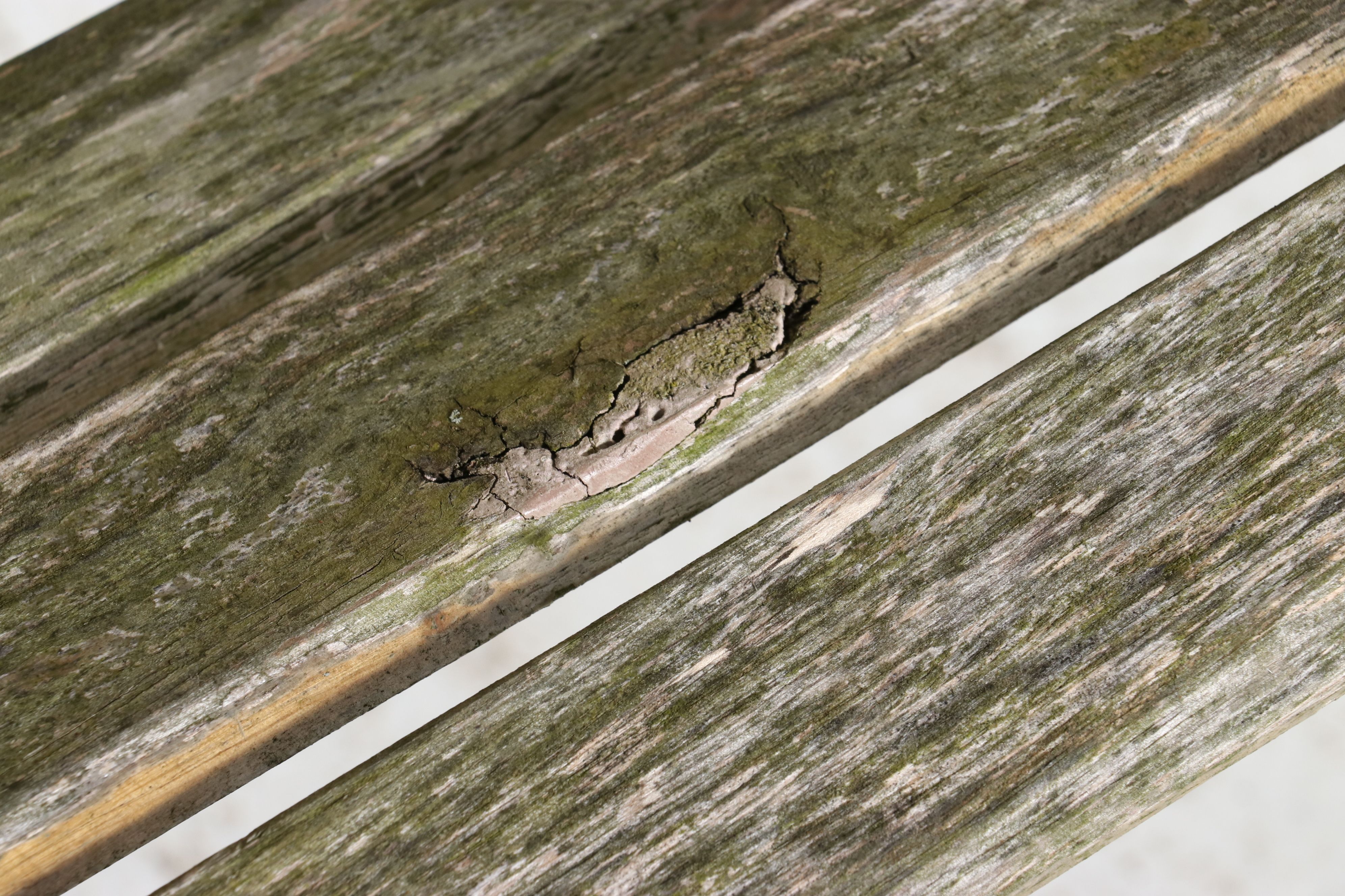 Victorian Style Tulip Cast Iron and Wooden Garden Bench