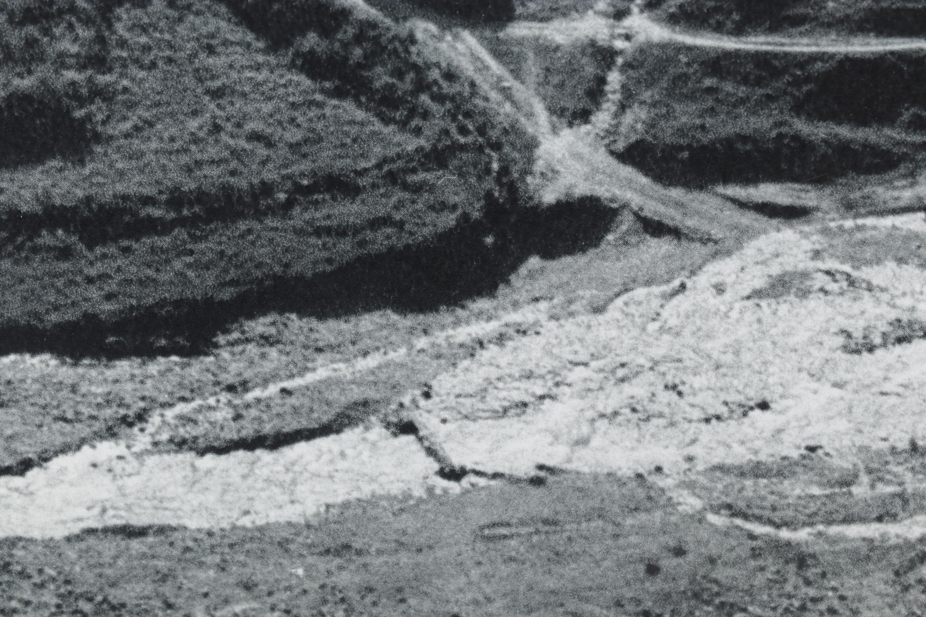 Henri Cartier-Bresson Rotogravure From "The Europeans," 1955