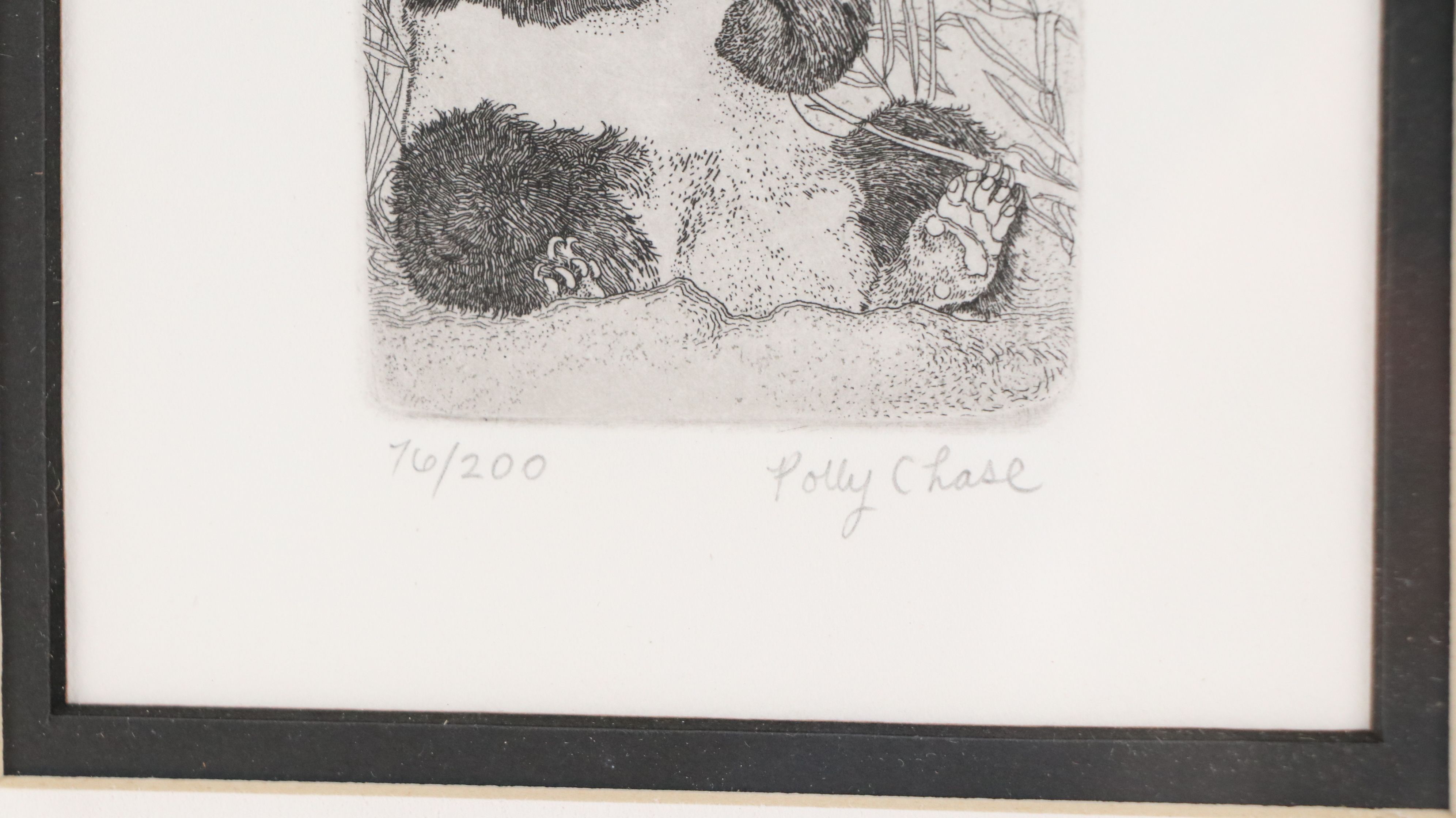 Polly Chase Etching "Panda Bear"