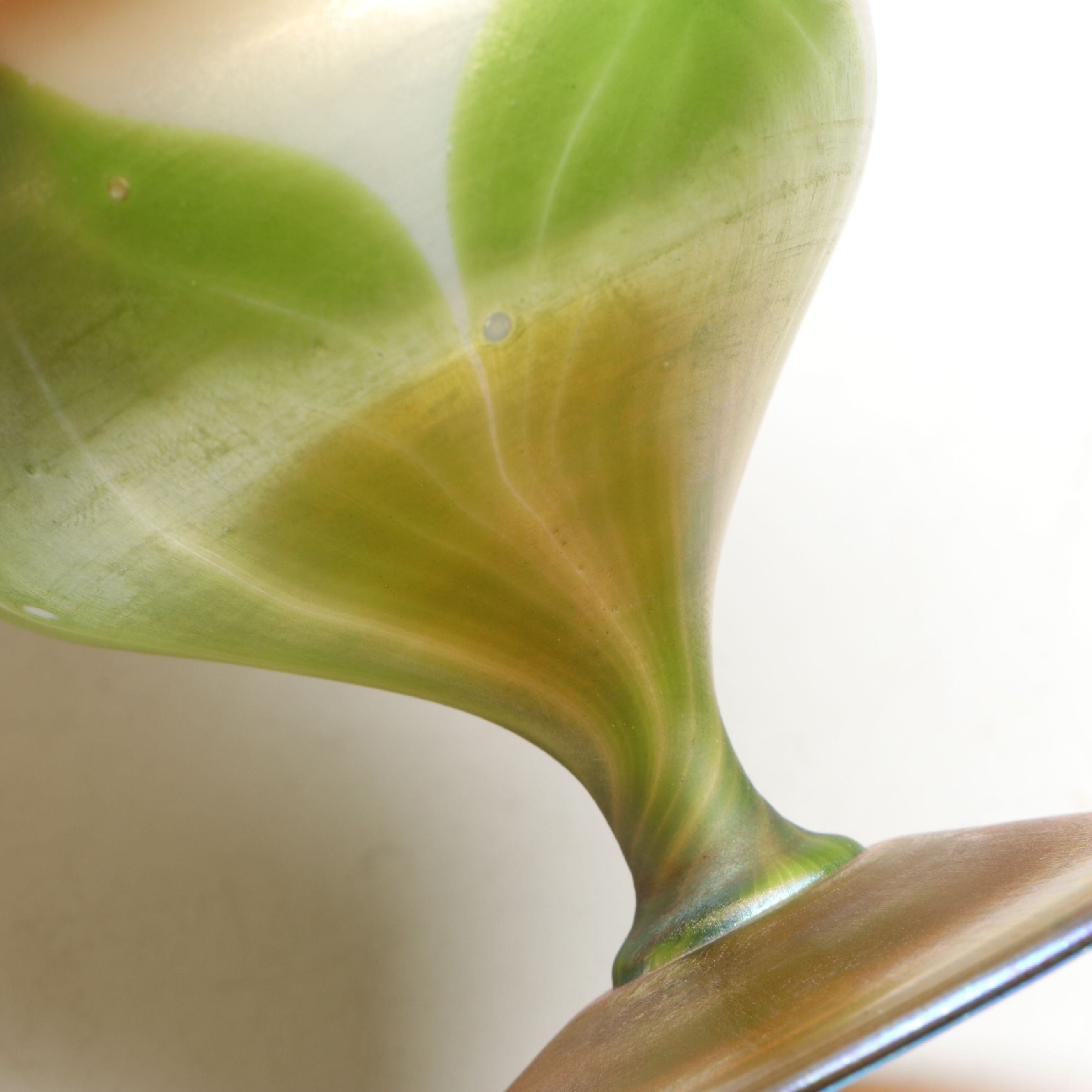 Louis Comfort Tiffany Ruffled Favrile Glass Compote, Early 20th C.