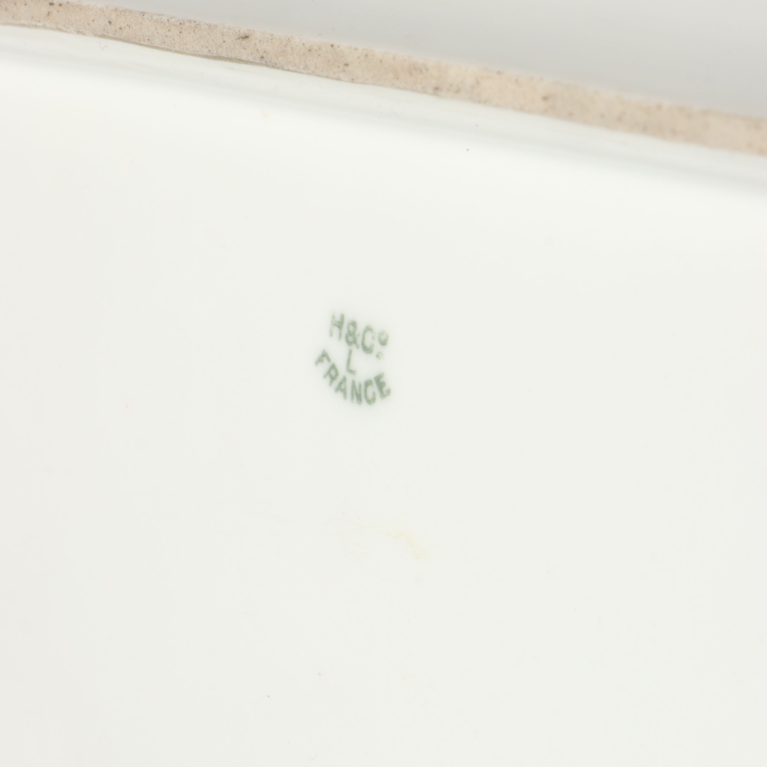 Haviland "Schleiger 10" Hand-Painted Fish Service