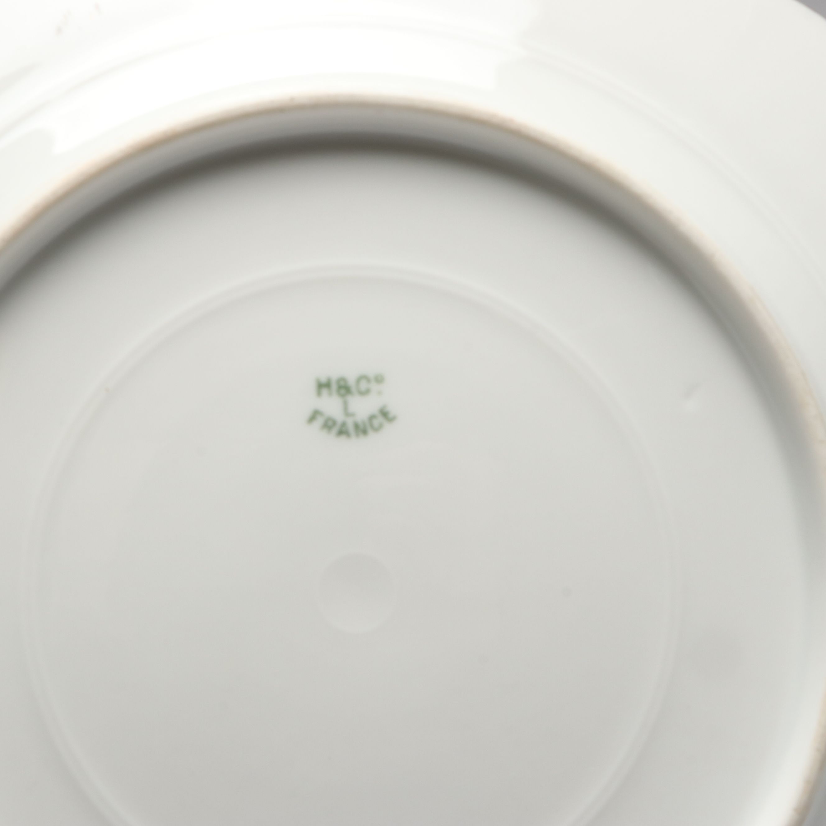 Haviland "Schleiger 10" Hand-Painted Fish Service