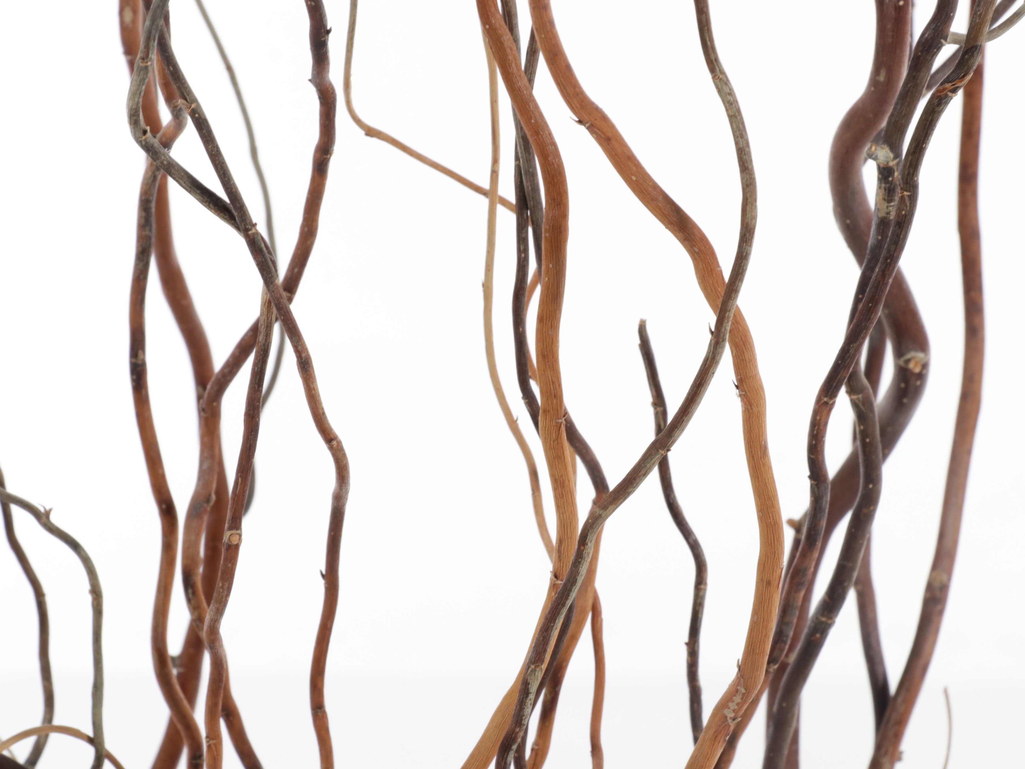 Oversized Vase with Branches