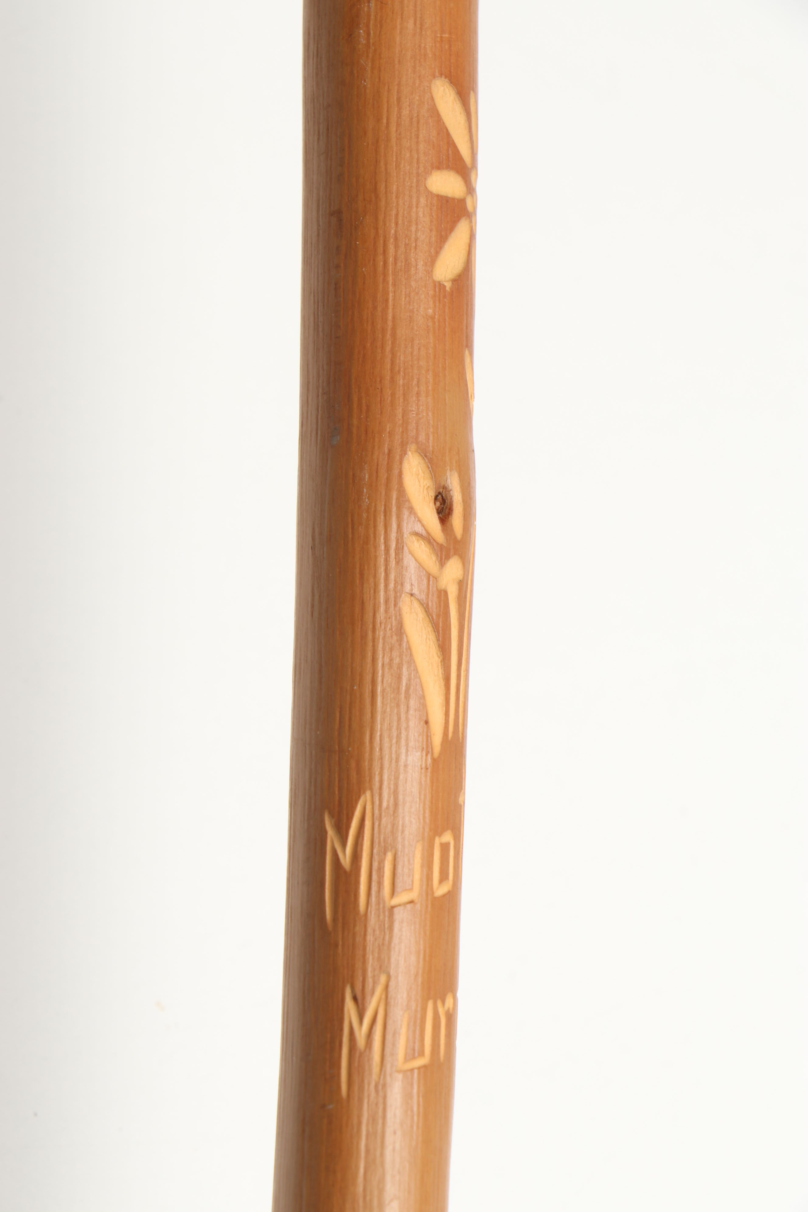 Alpine Souvenir Pointed Hiking Stick with Polychrome Woven Box and Birdcage