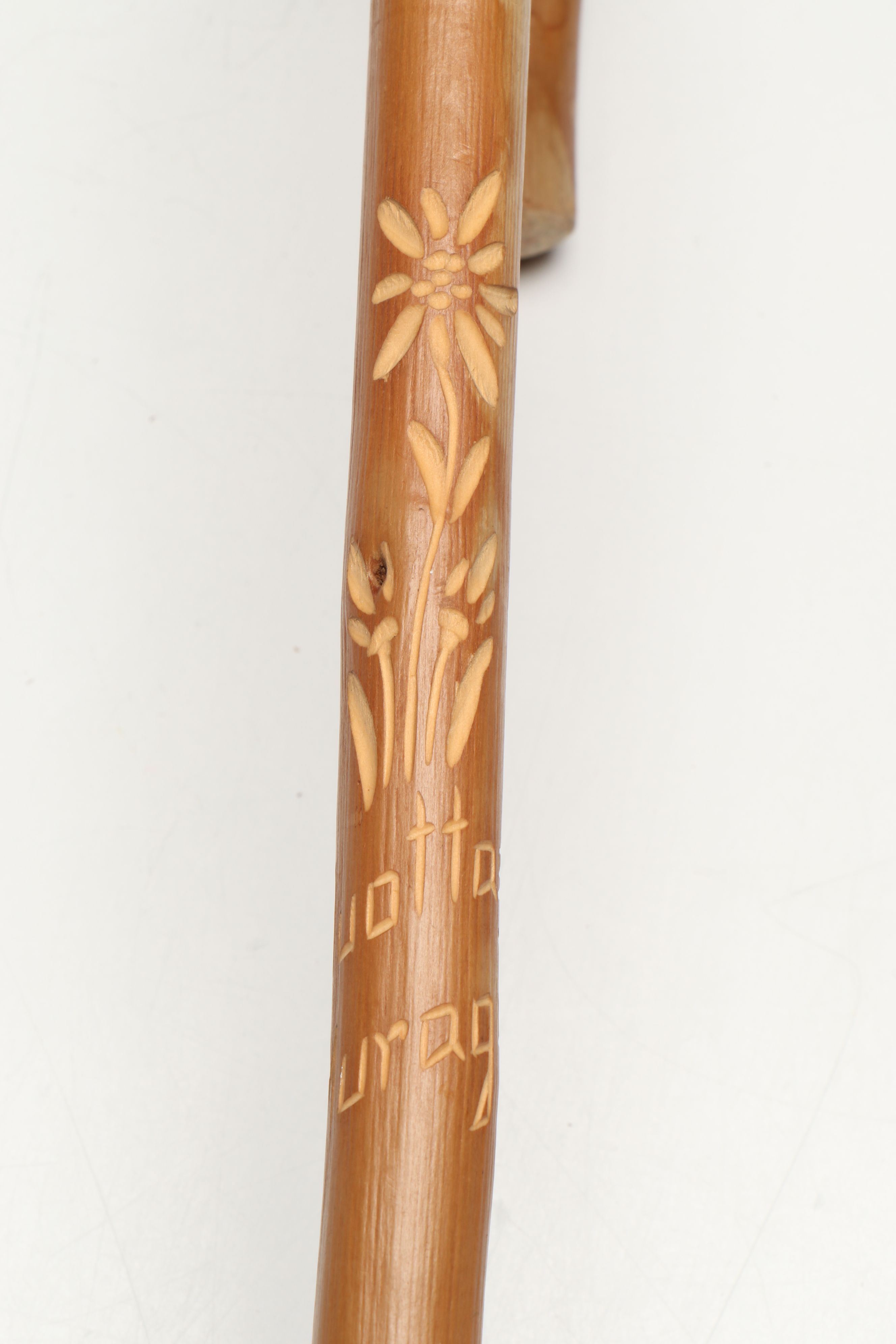 Alpine Souvenir Pointed Hiking Stick with Polychrome Woven Box and Birdcage