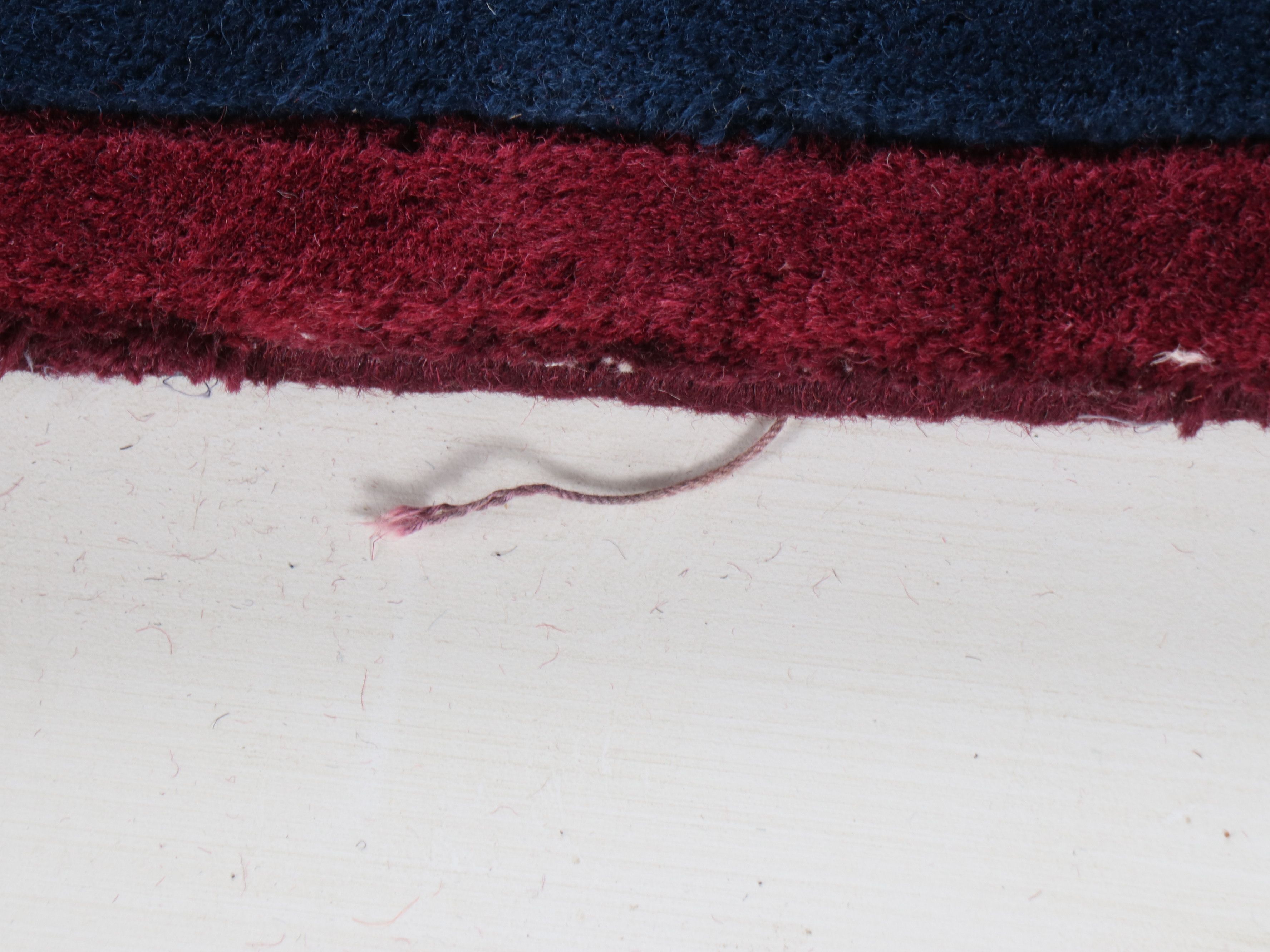 3'4 x 5'6 Hand-Knotted and Carved Indian Capel "La Salle" Area Rug