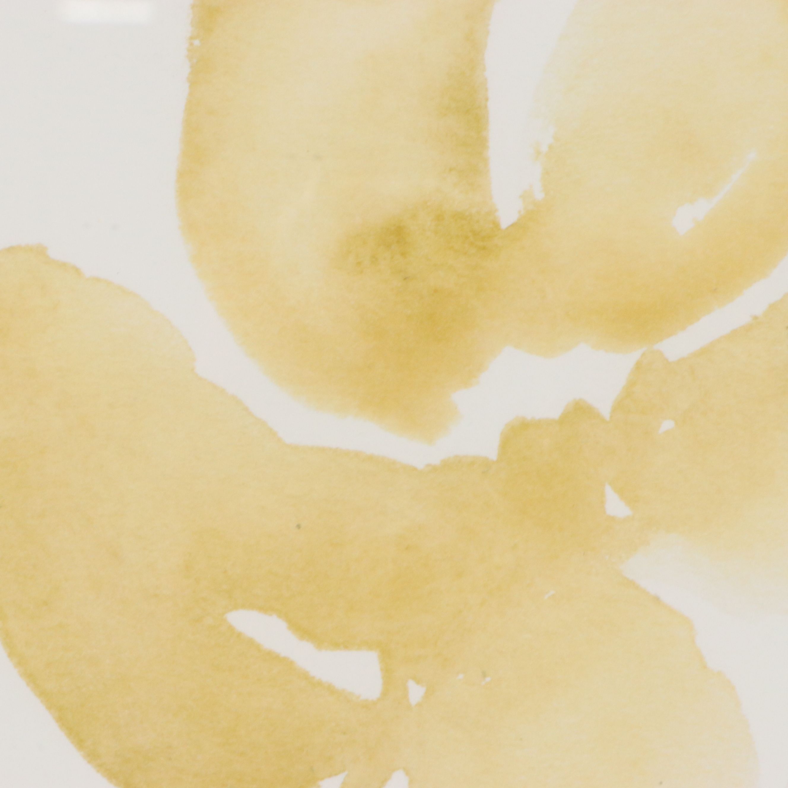 After Jennifer Goldberger Giclées "Branch Contours"