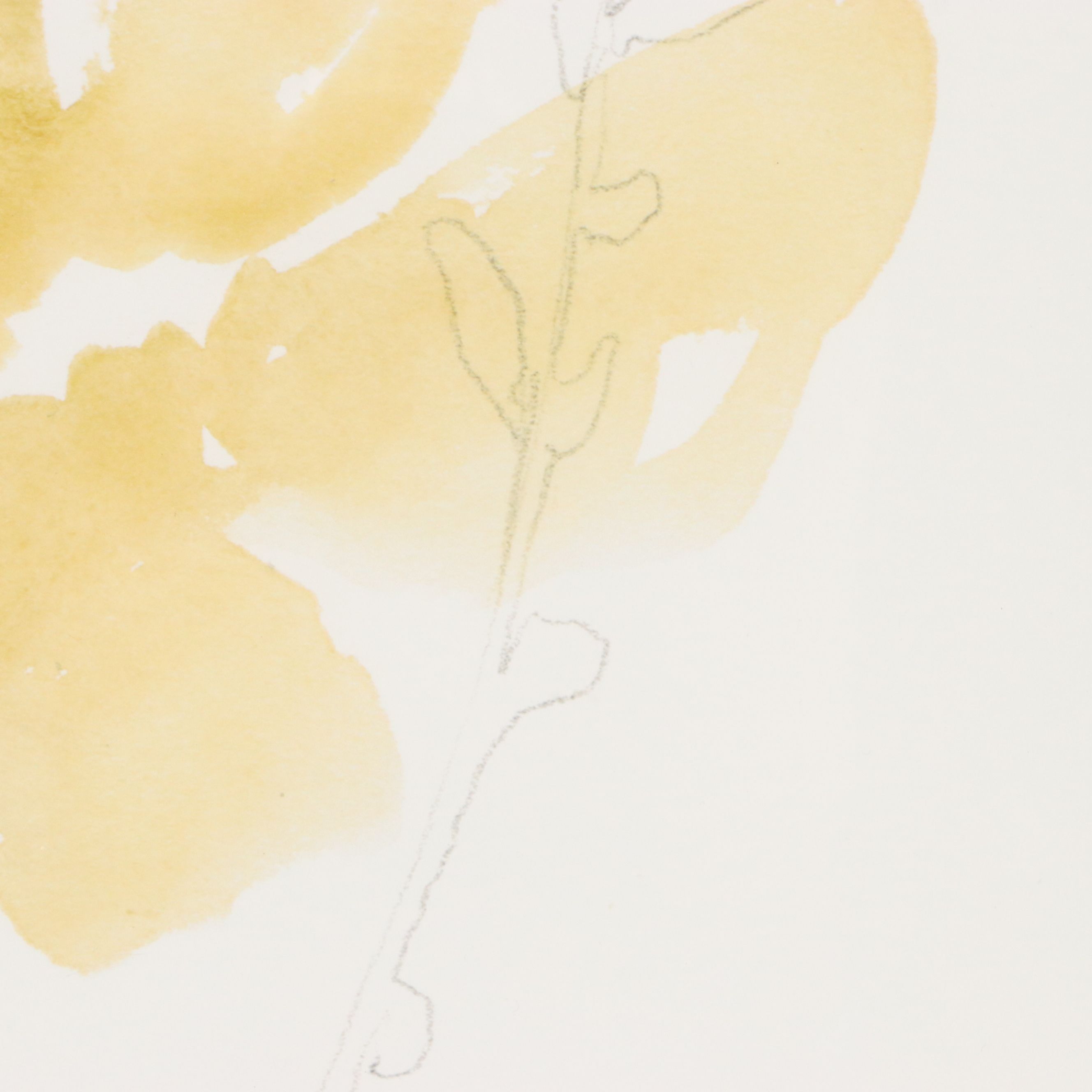 After Jennifer Goldberger Giclées "Branch Contours"