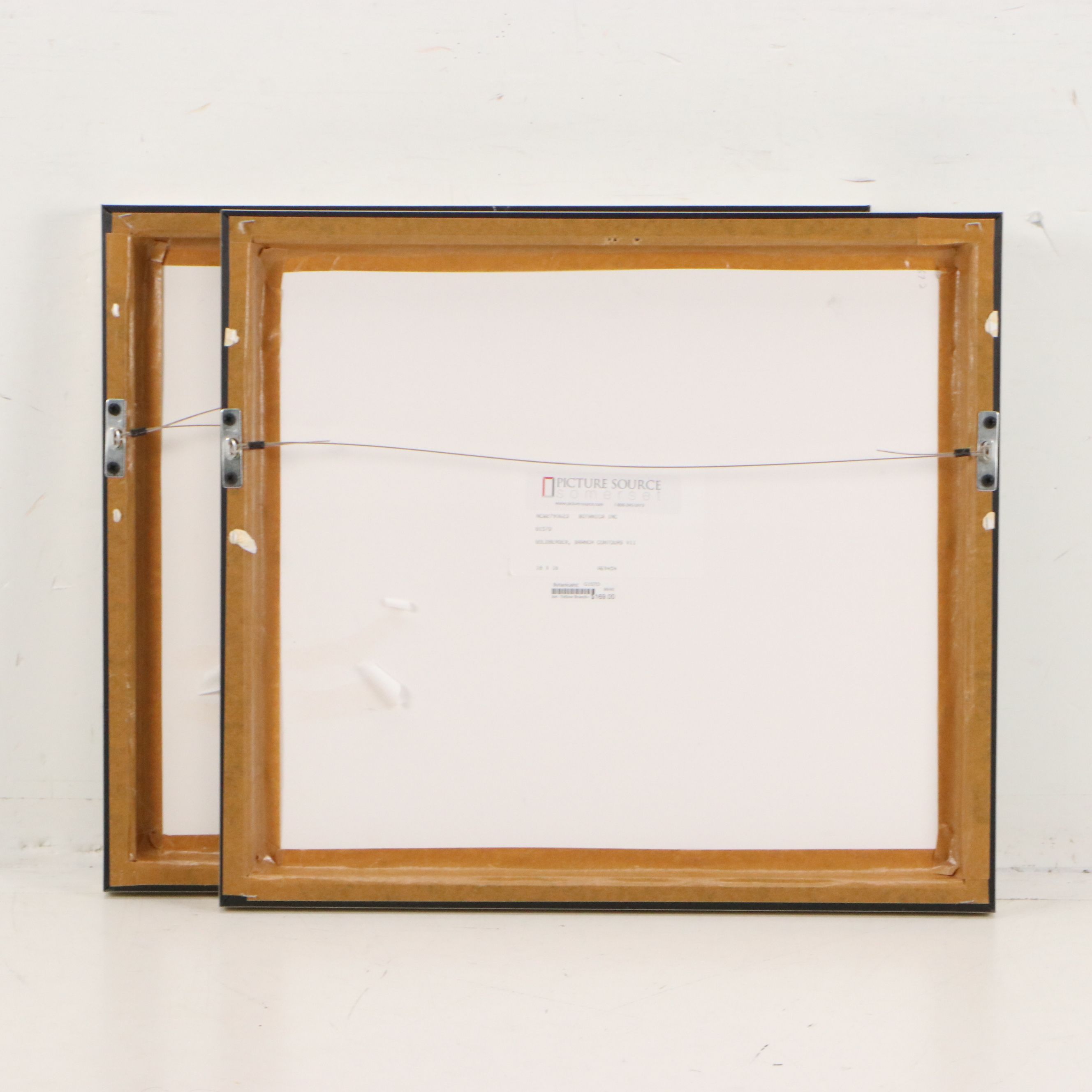 After Jennifer Goldberger Giclées "Branch Contours"