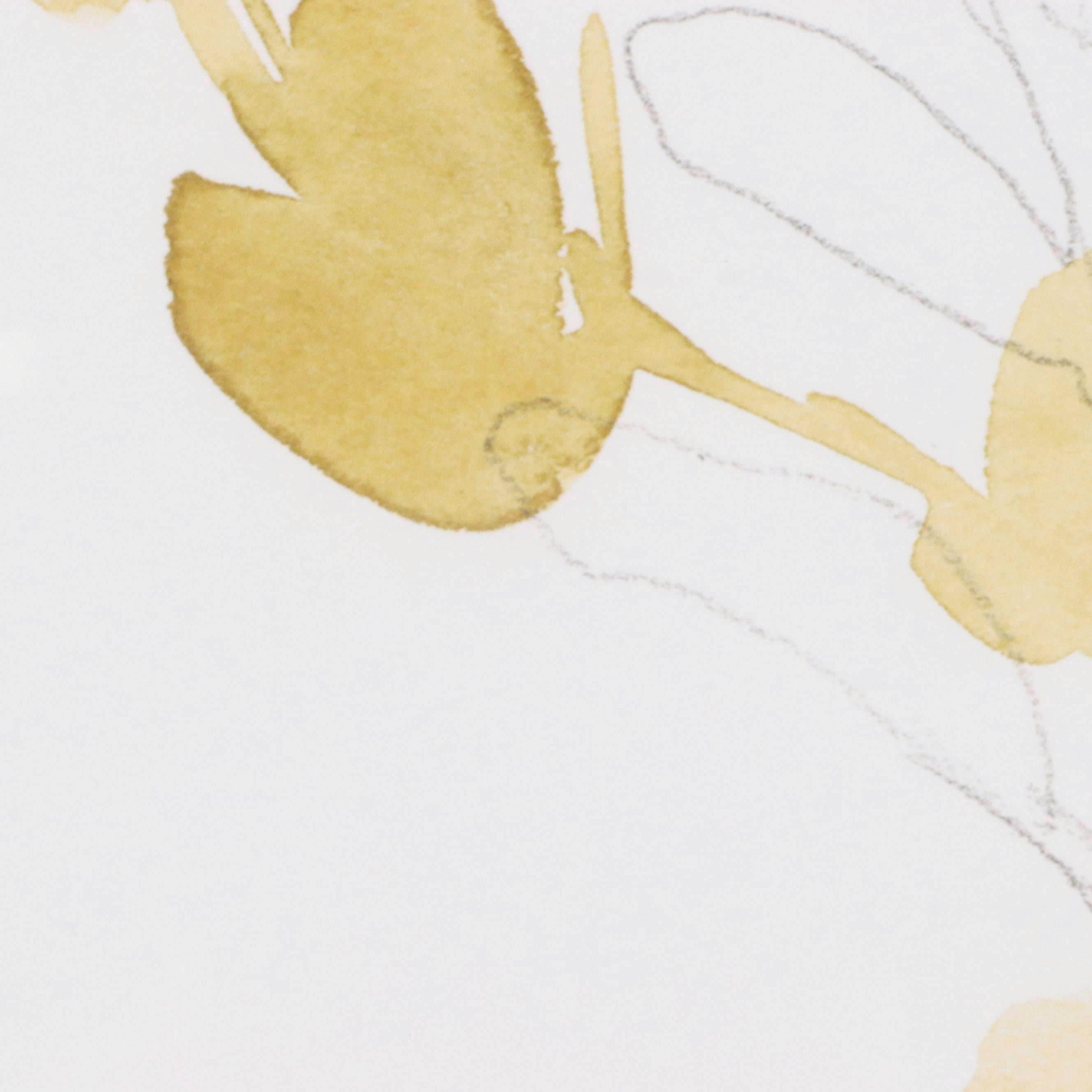 After Jennifer Goldberger Giclées "Branch Contours"