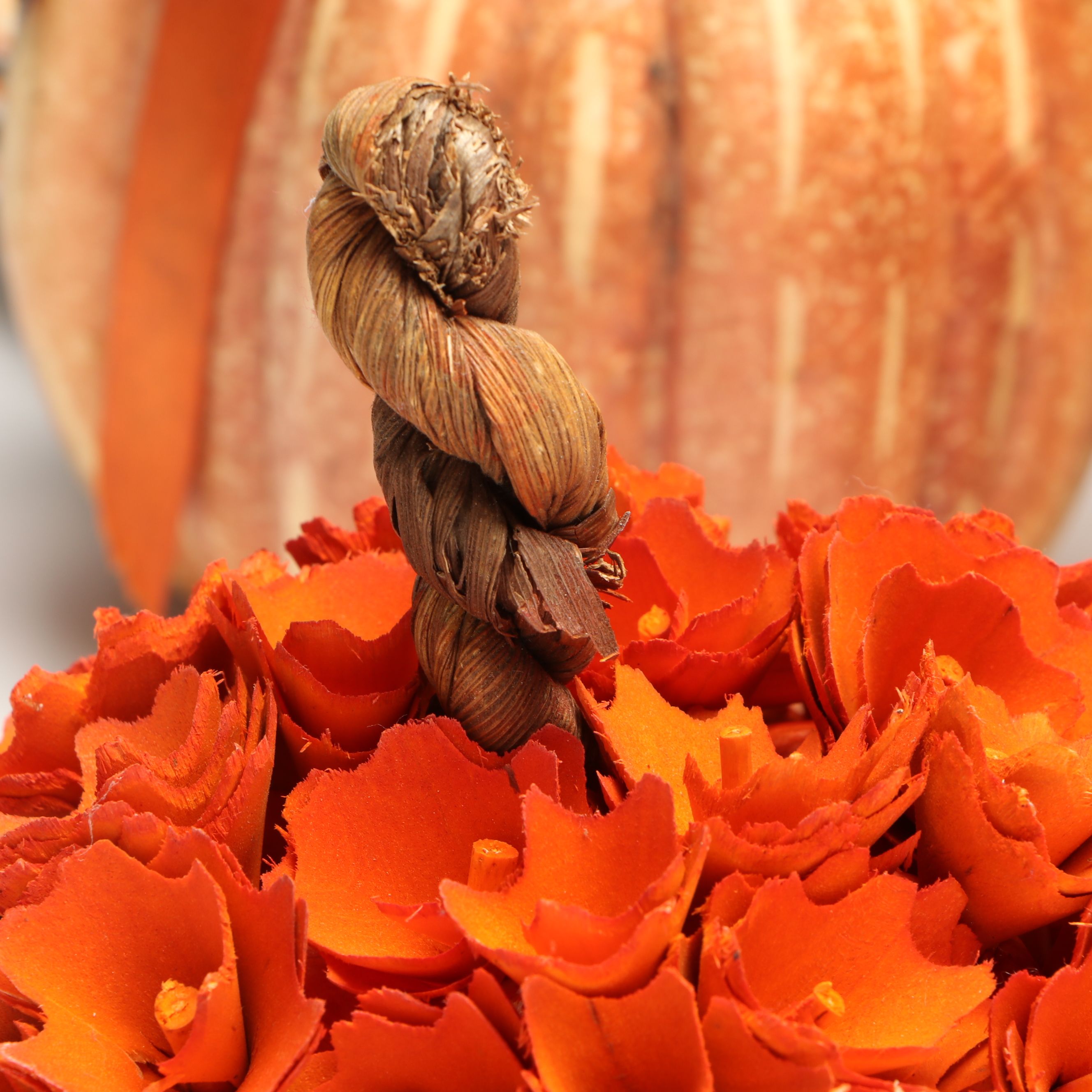 Decorative Pumpkins with Autumnal Transferware Plates
