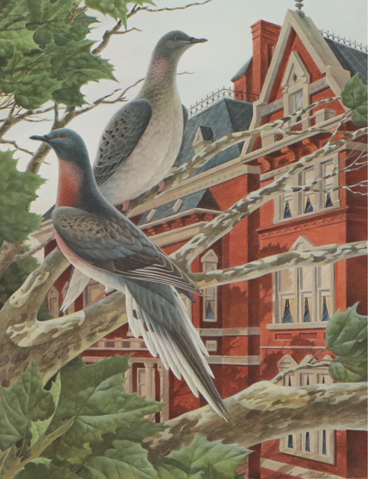 John A. Ruthven Offset Lithograph "Passenger Pigeons," 1981