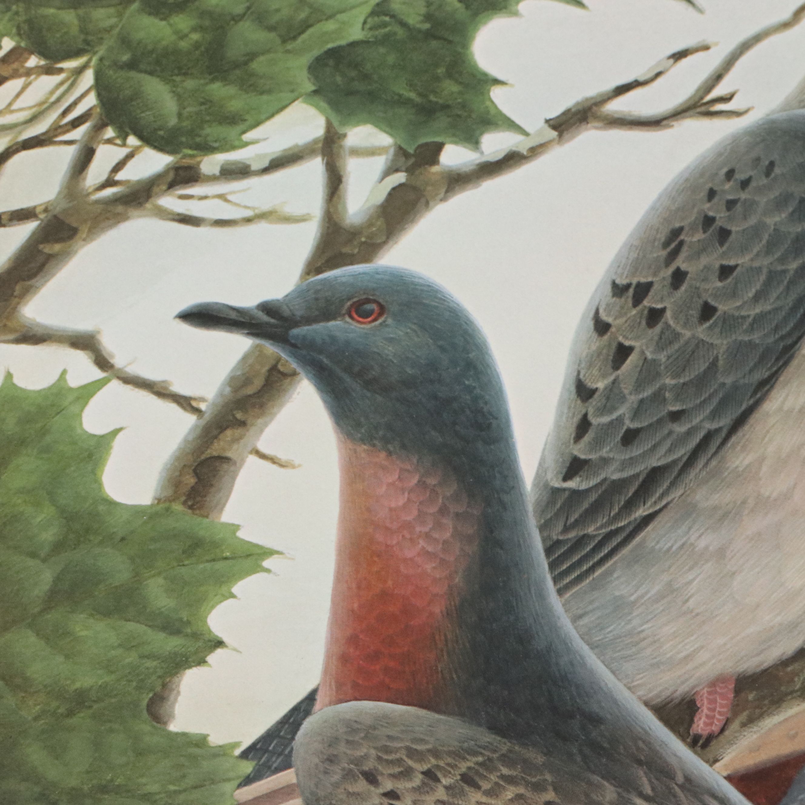 John A. Ruthven Offset Lithograph "Passenger Pigeons," 1981