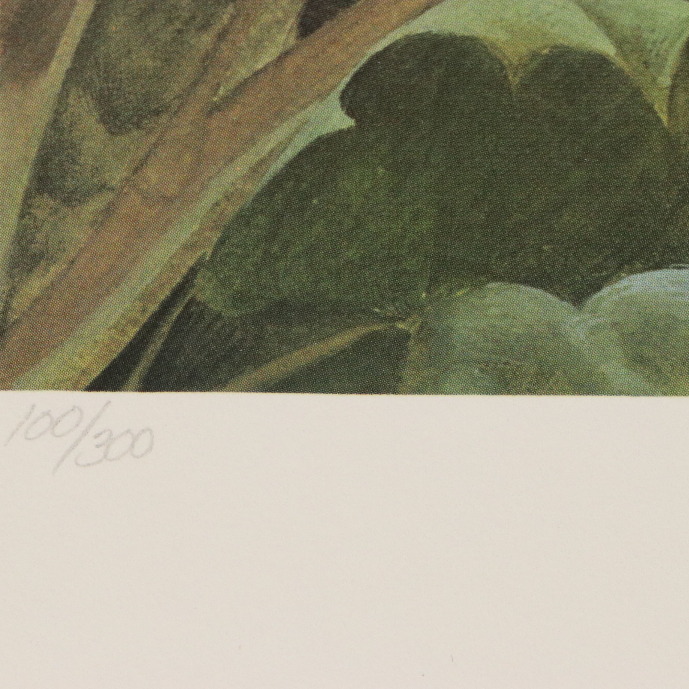 John A. Ruthven Offset Lithograph "Passenger Pigeons," 1981