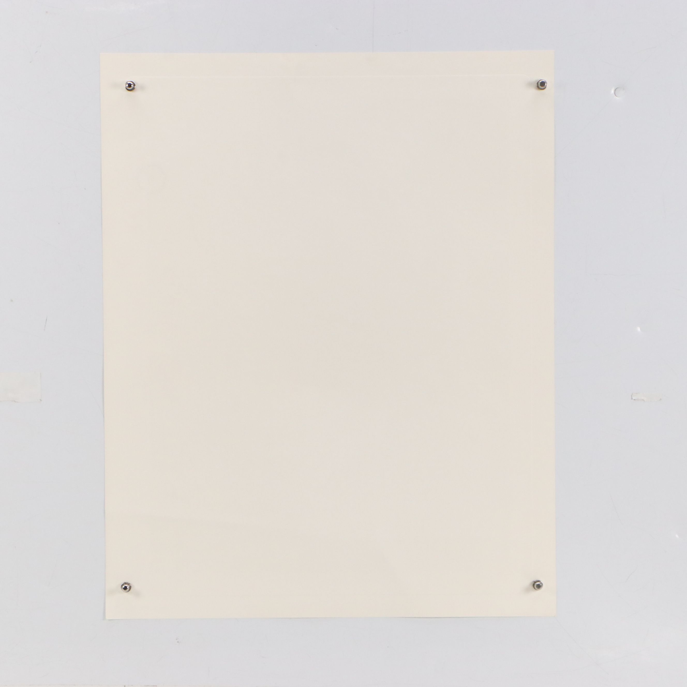 John A. Ruthven Offset Lithograph "Passenger Pigeons," 1981