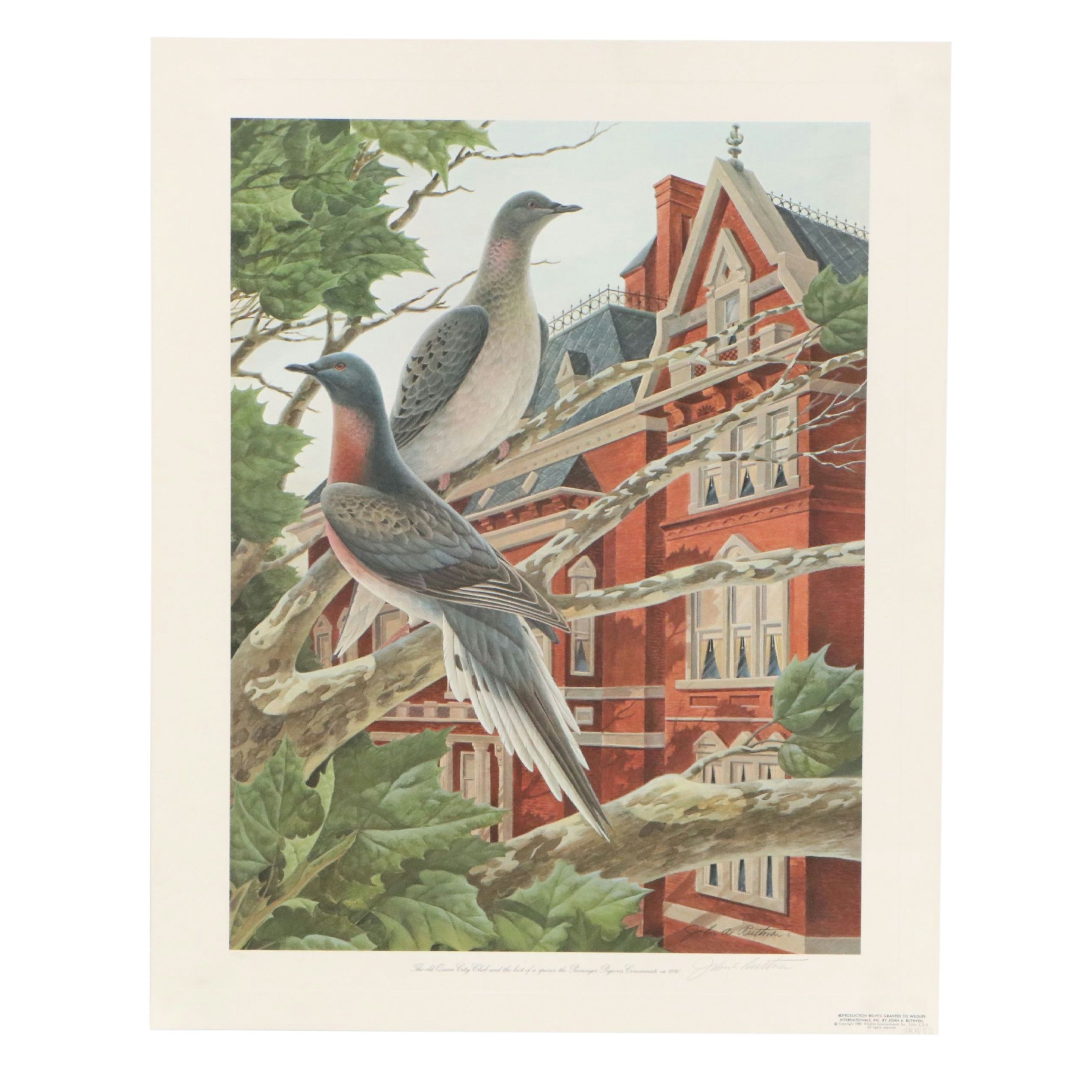 John A. Ruthven Offset Lithograph "Passenger Pigeons," 1981