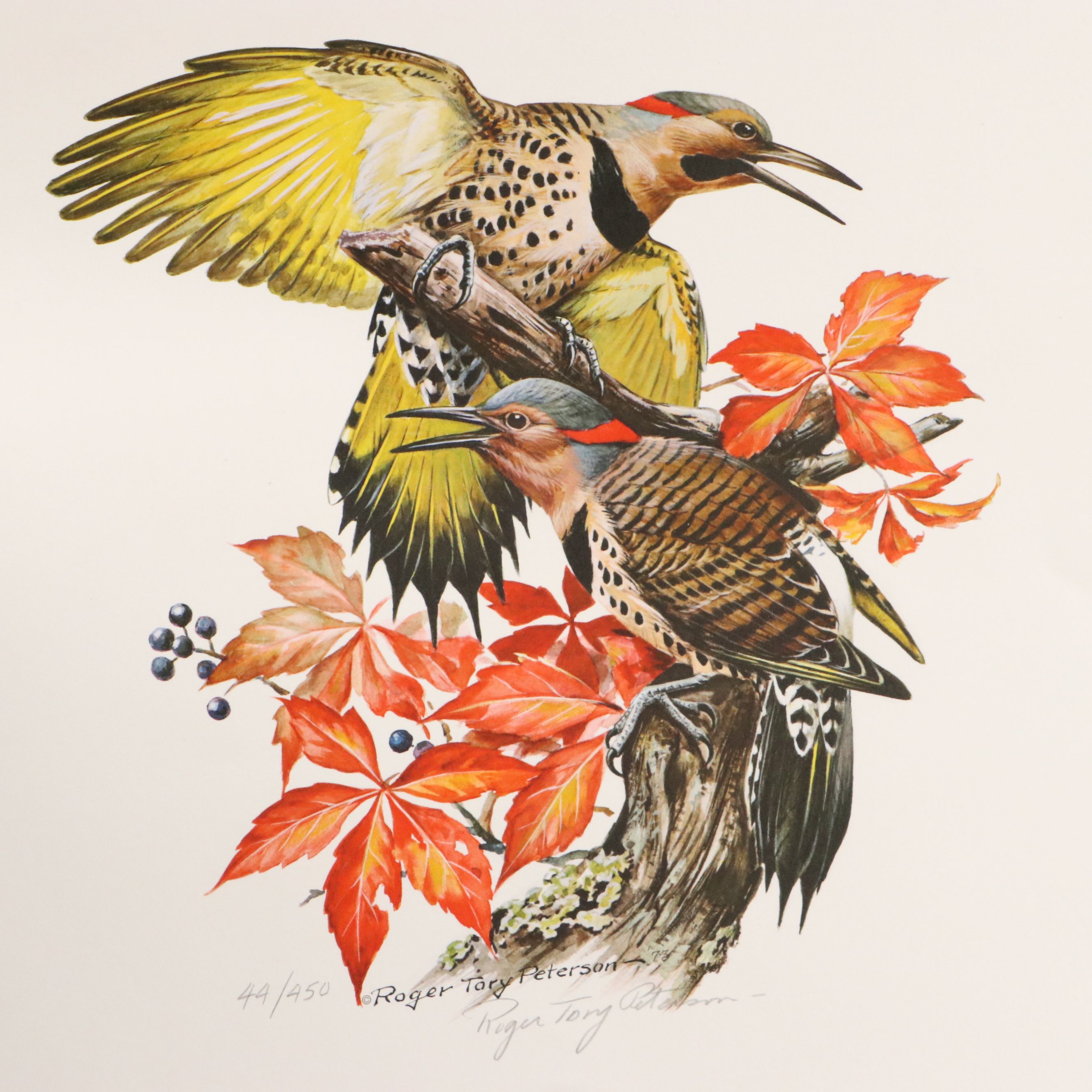 Roger Tory Peterson Offset Lithographs "Cardinal" and "Flicker," 1973