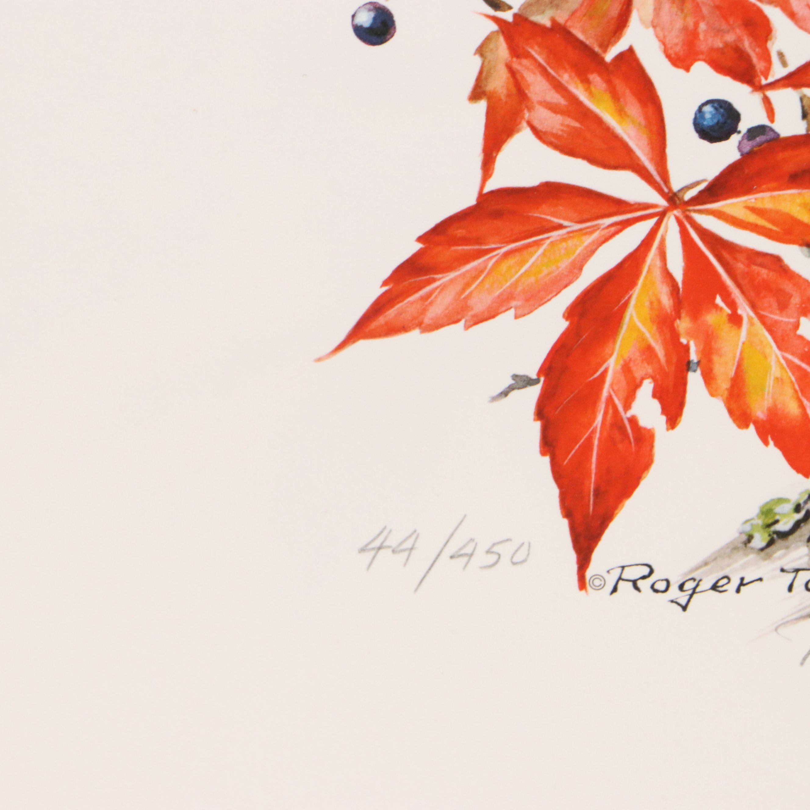 Roger Tory Peterson Offset Lithographs "Cardinal" and "Flicker," 1973