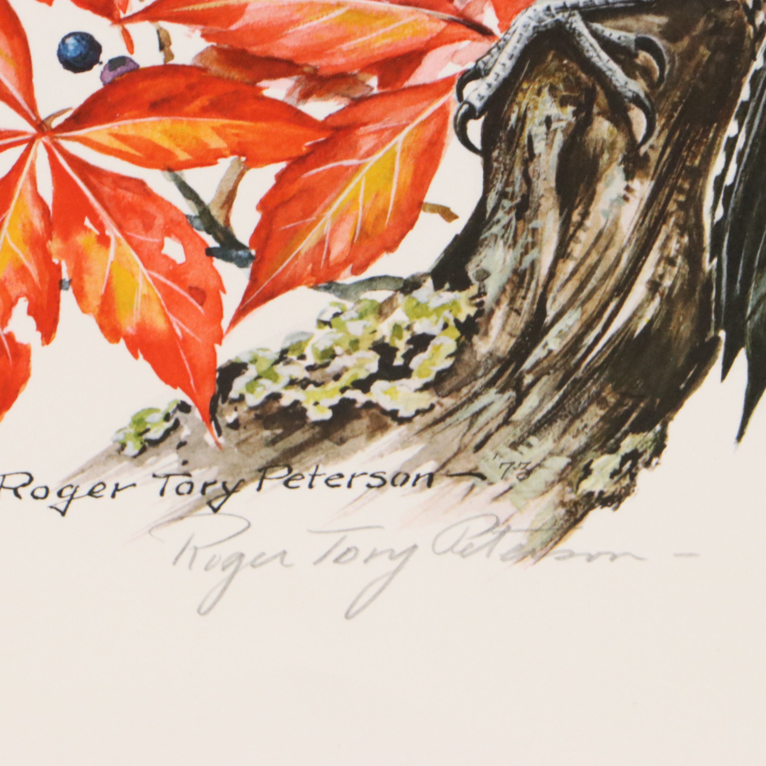 Roger Tory Peterson Offset Lithographs "Cardinal" and "Flicker," 1973