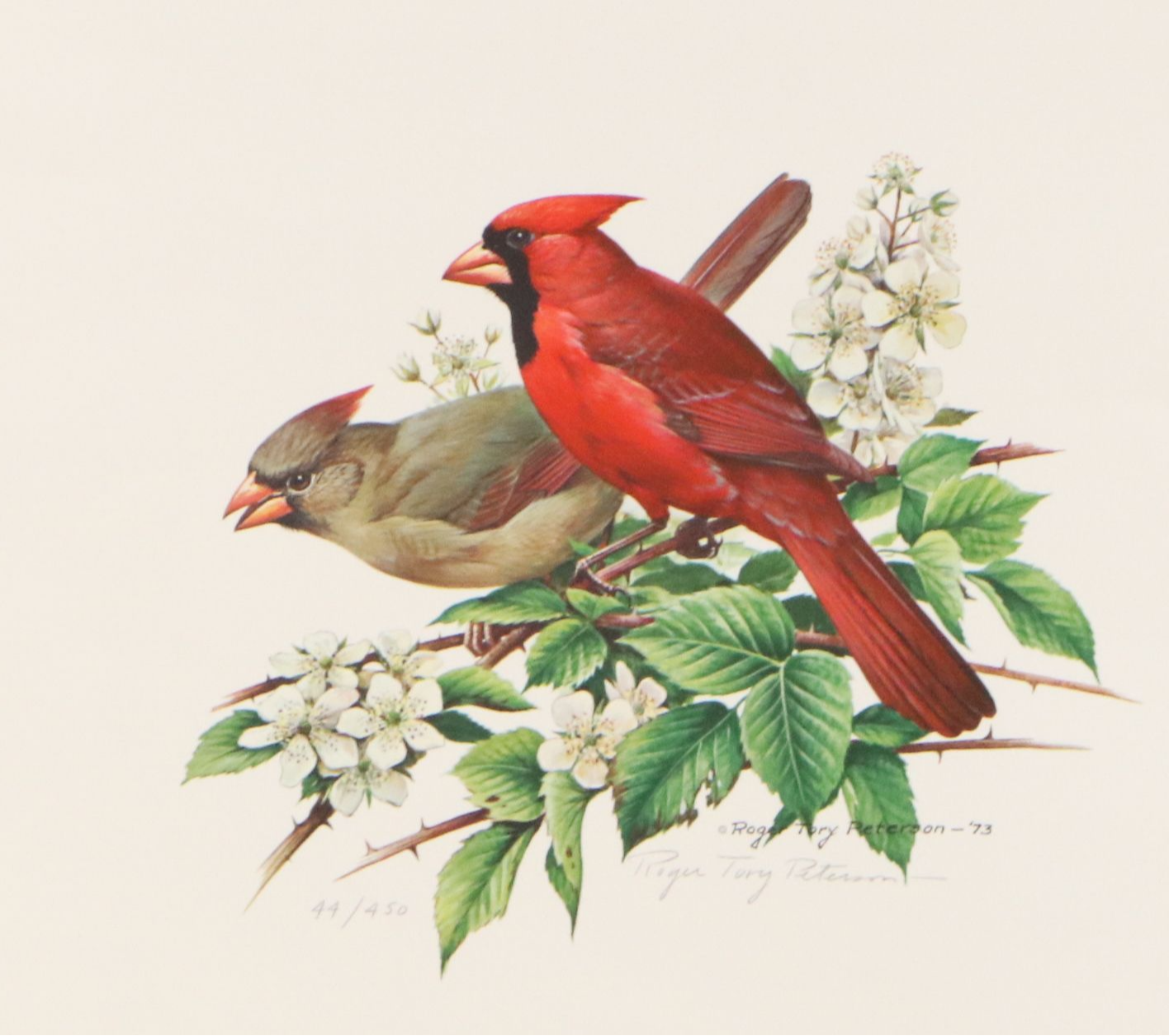 Roger Tory Peterson Offset Lithographs "Cardinal" and "Flicker," 1973